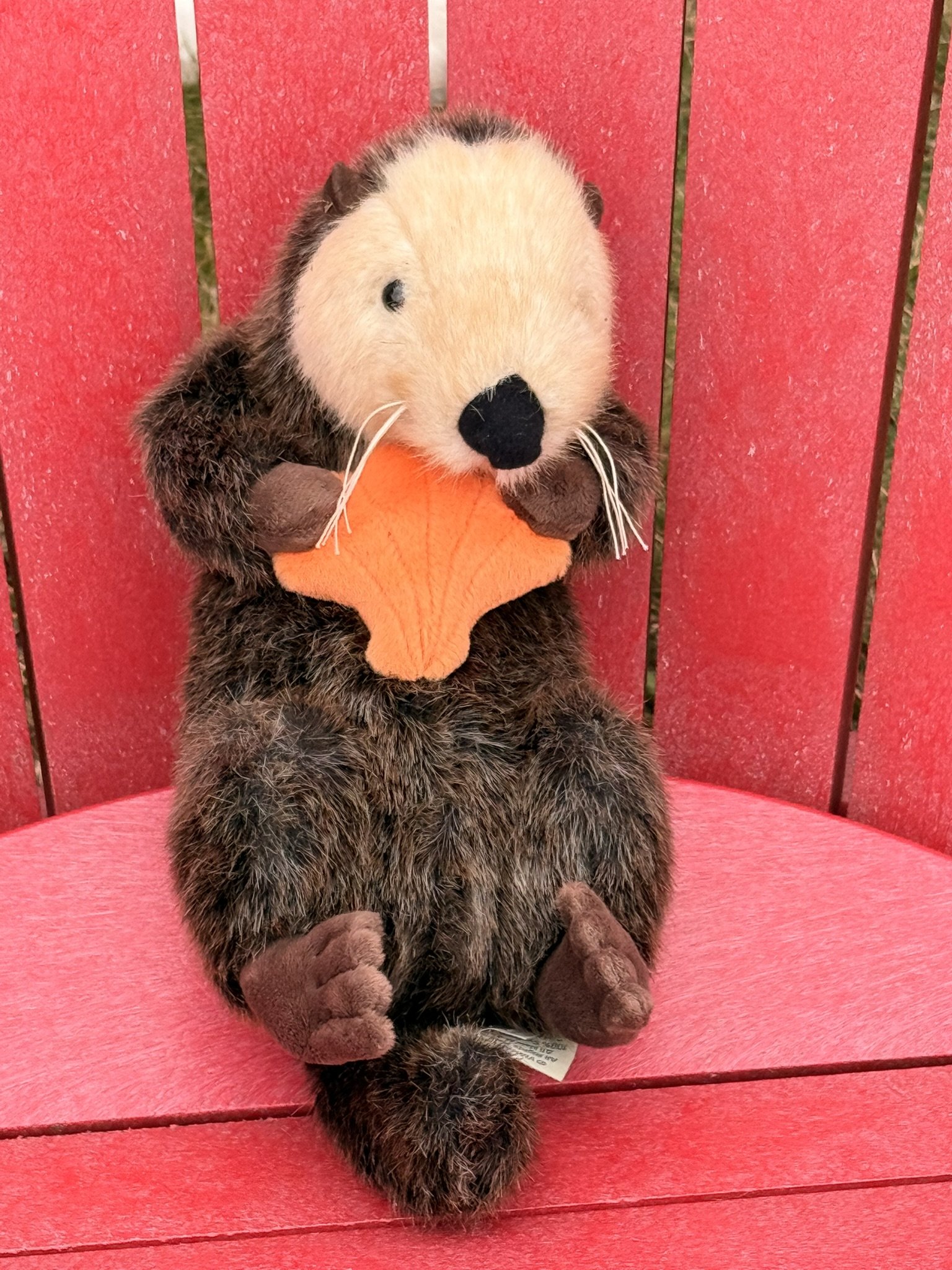 Otter with shell