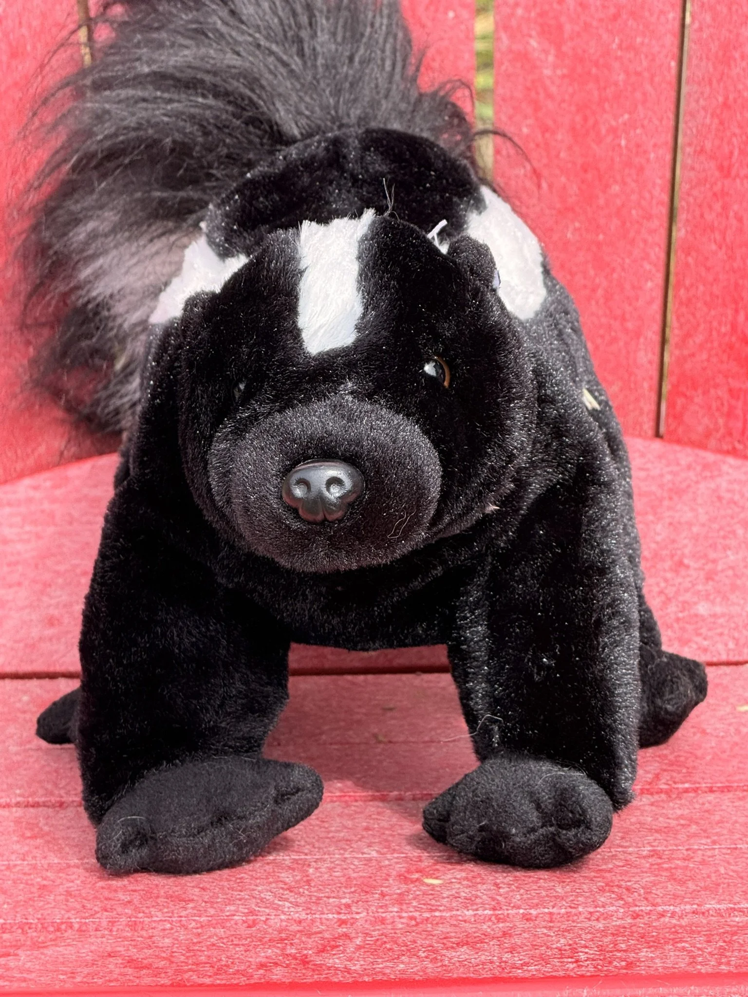 Skunk