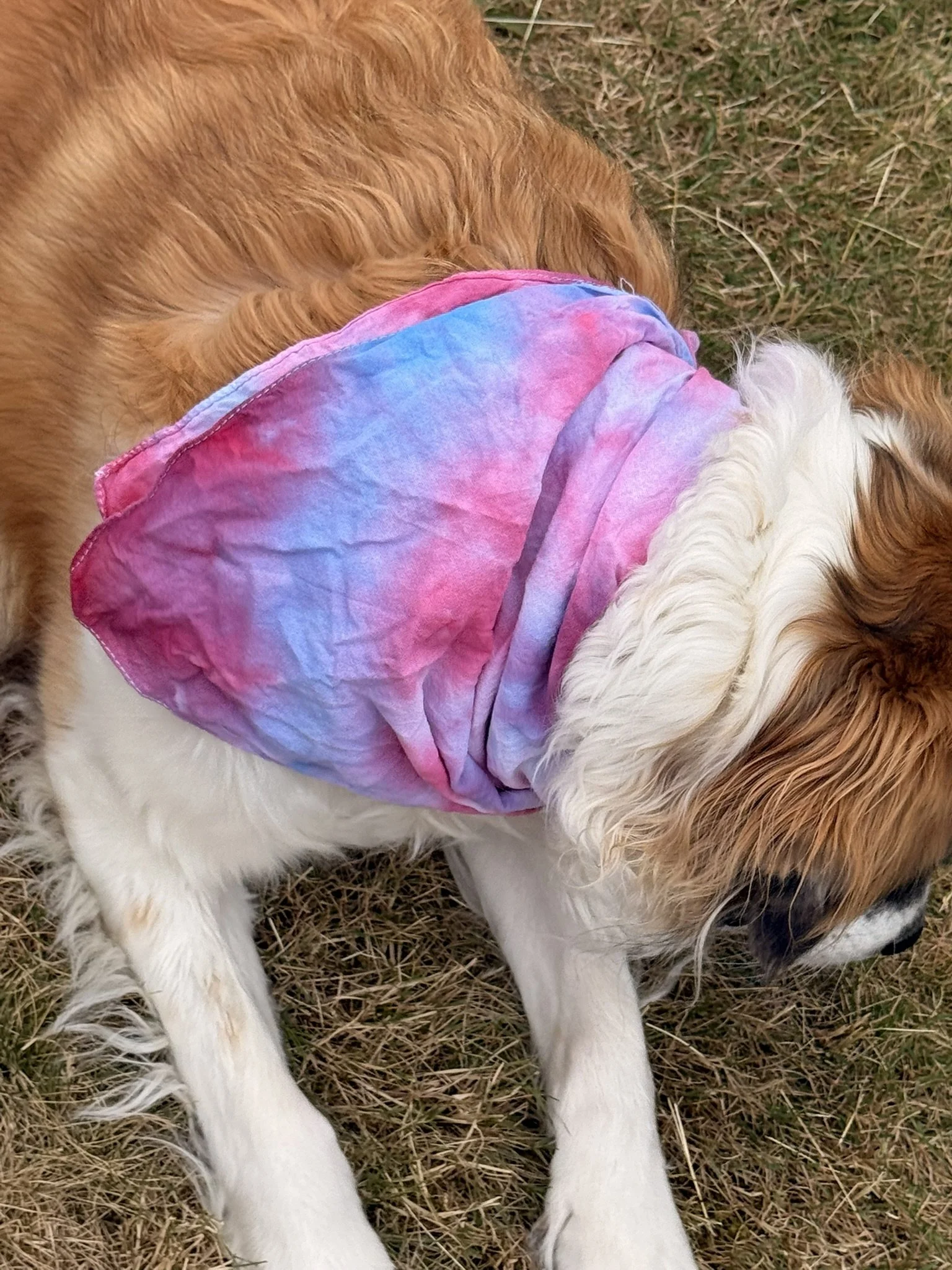 American flag swirl bandanna