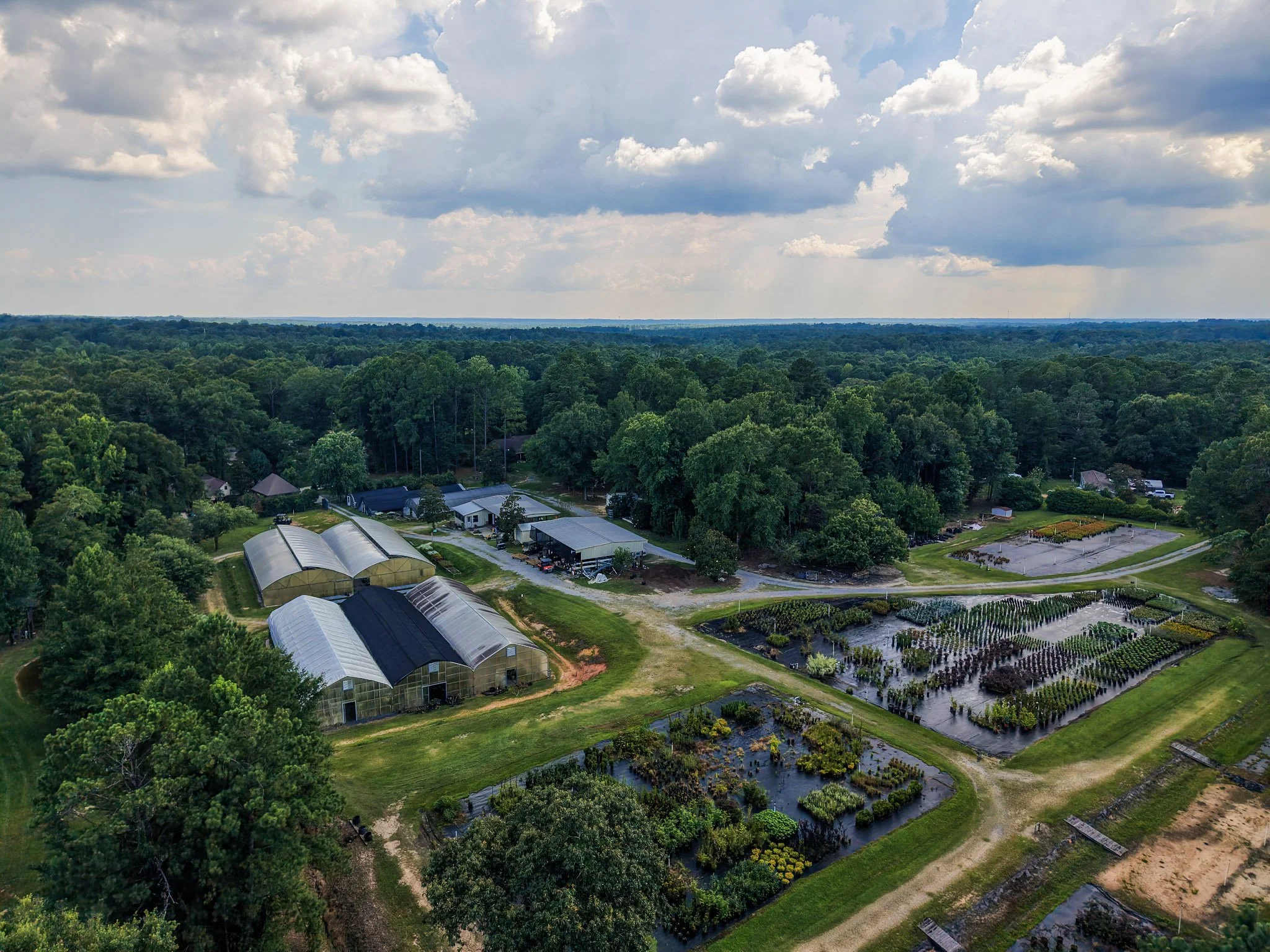 13-DJI_20260701154314_0006_D.jpg