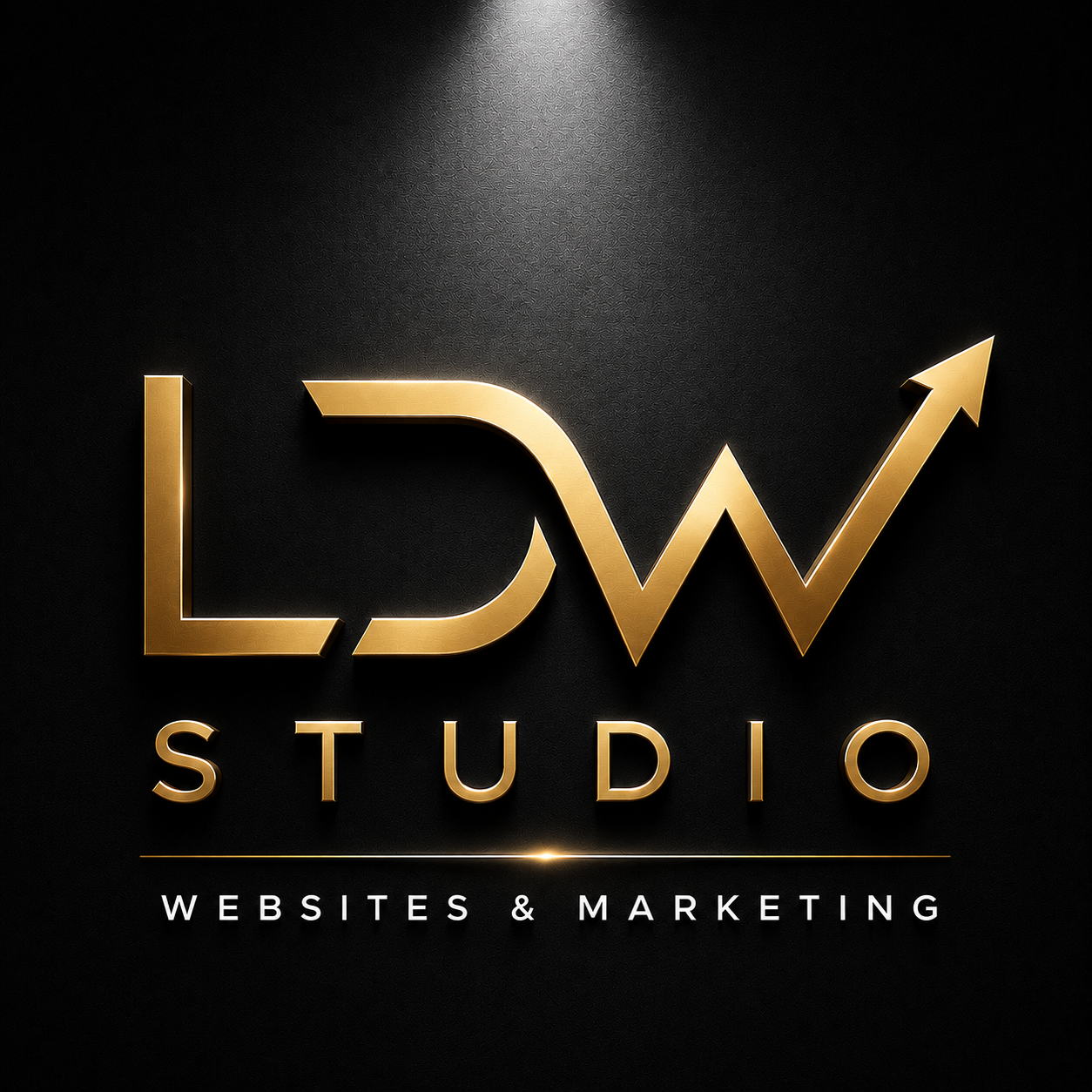 Gouden logo met de woorden 'LW Studio' en ondertitel 'Websites & Marketing' op een zwarte achtergrond.