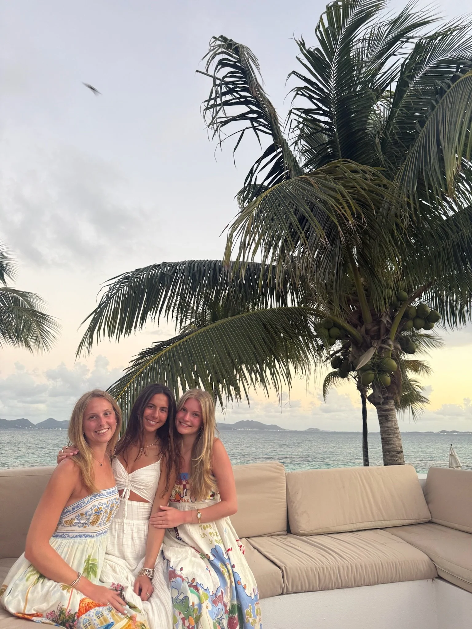Three young women smiling and posing outdoors in front of a lake with a palm tree and cloudy sky in the background.