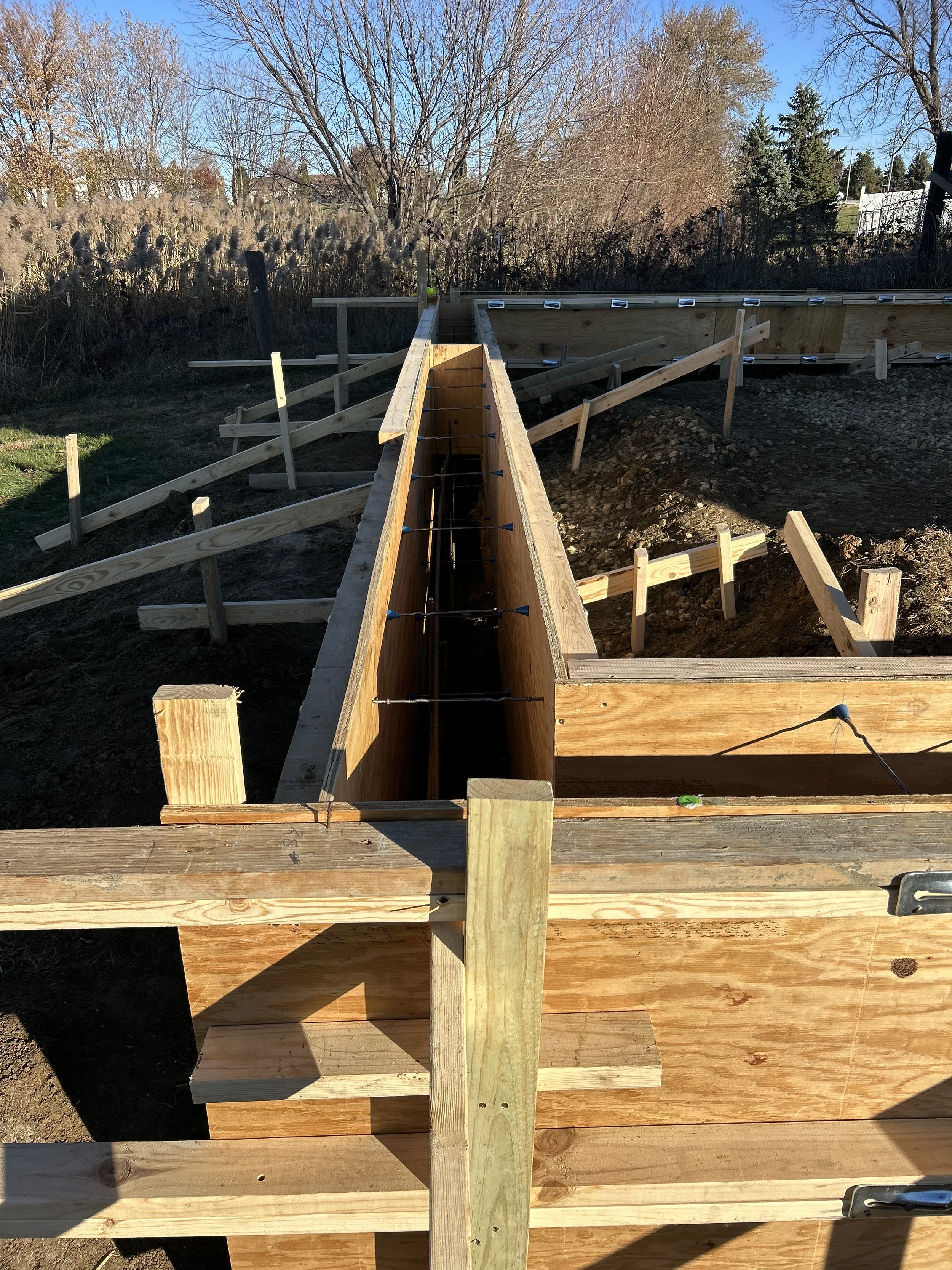 Construction site with wooden framing for a sidewalk or pathway in a yard, with trees and a fence in the background.