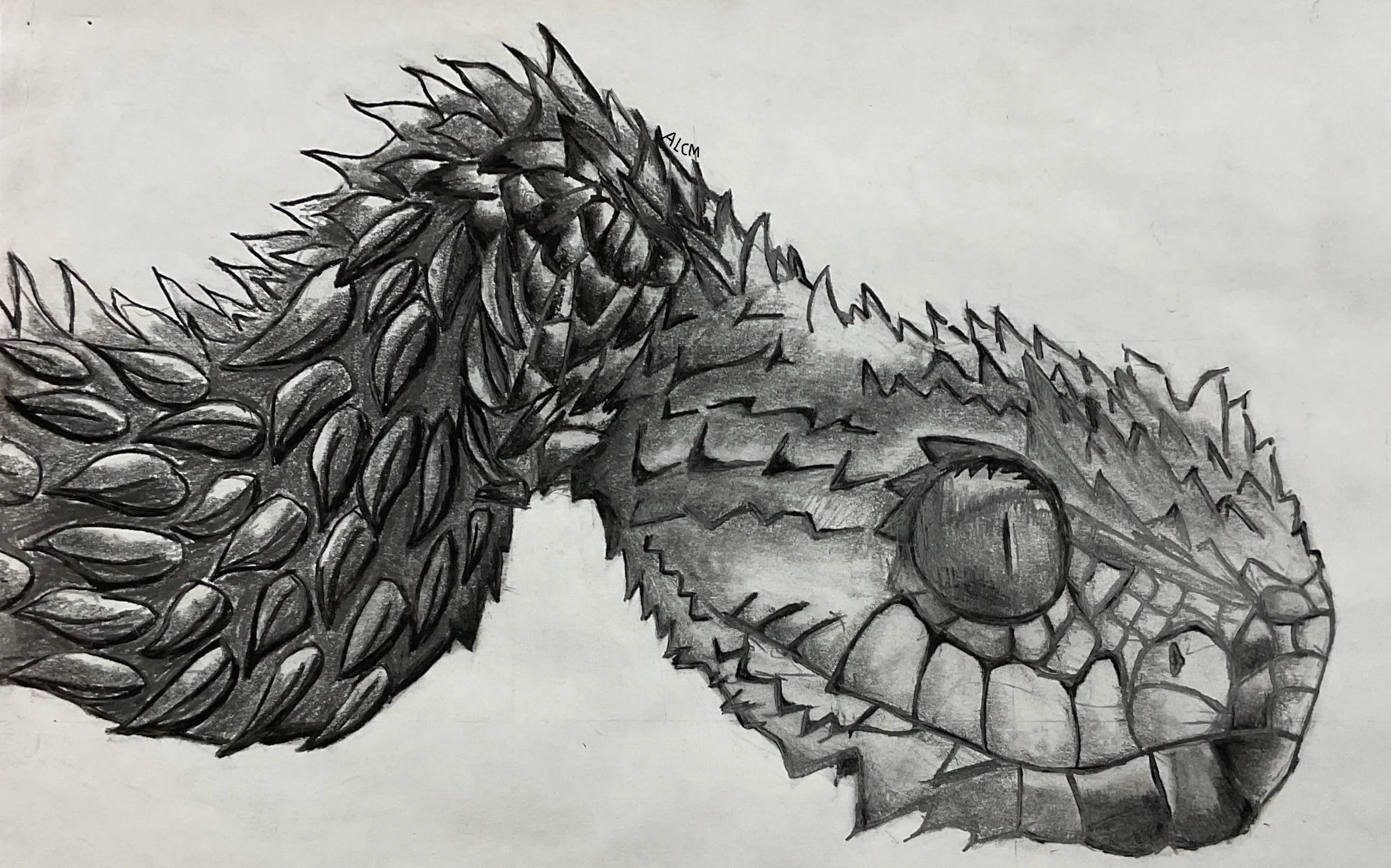 Made with white and black charcoal.