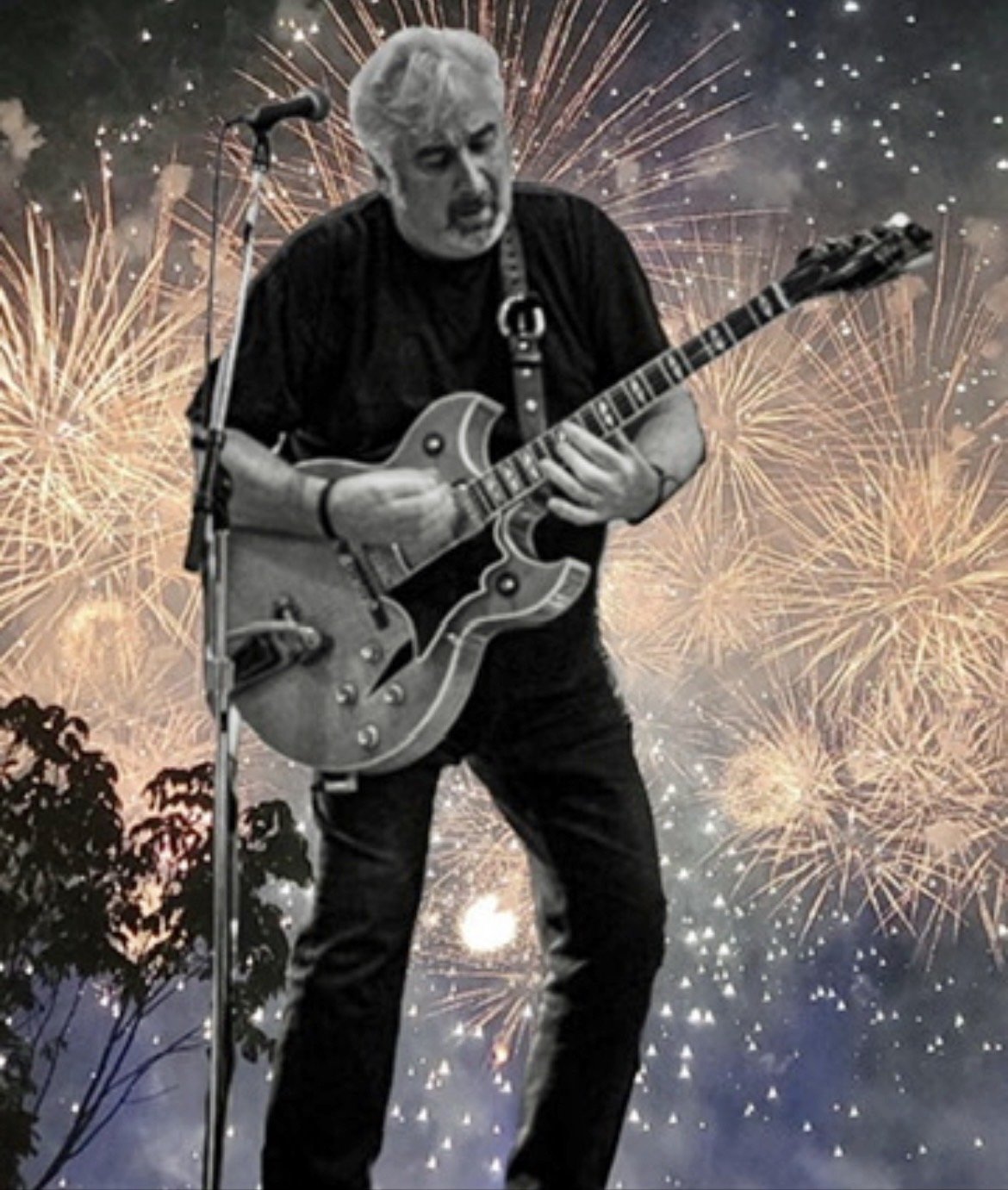 Steve Fox