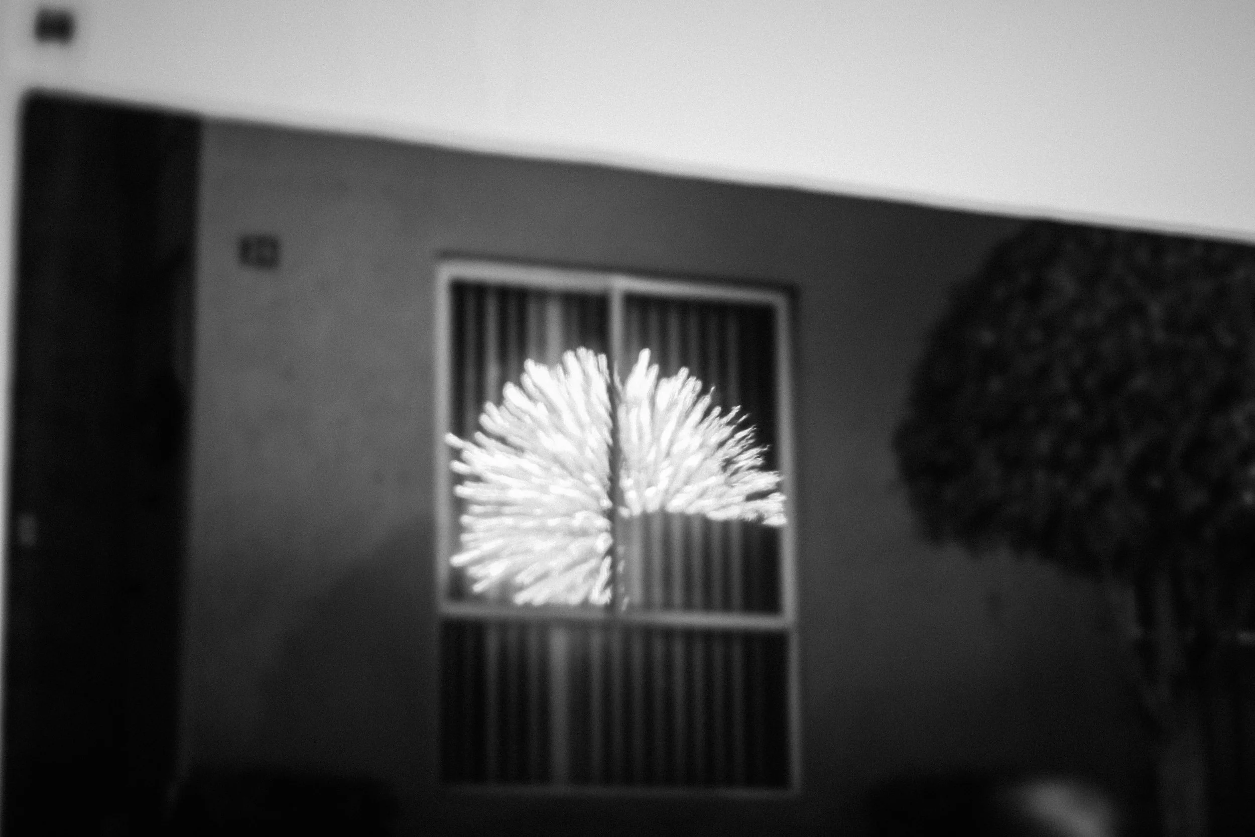 2022-03-02_08-45-01.jpg