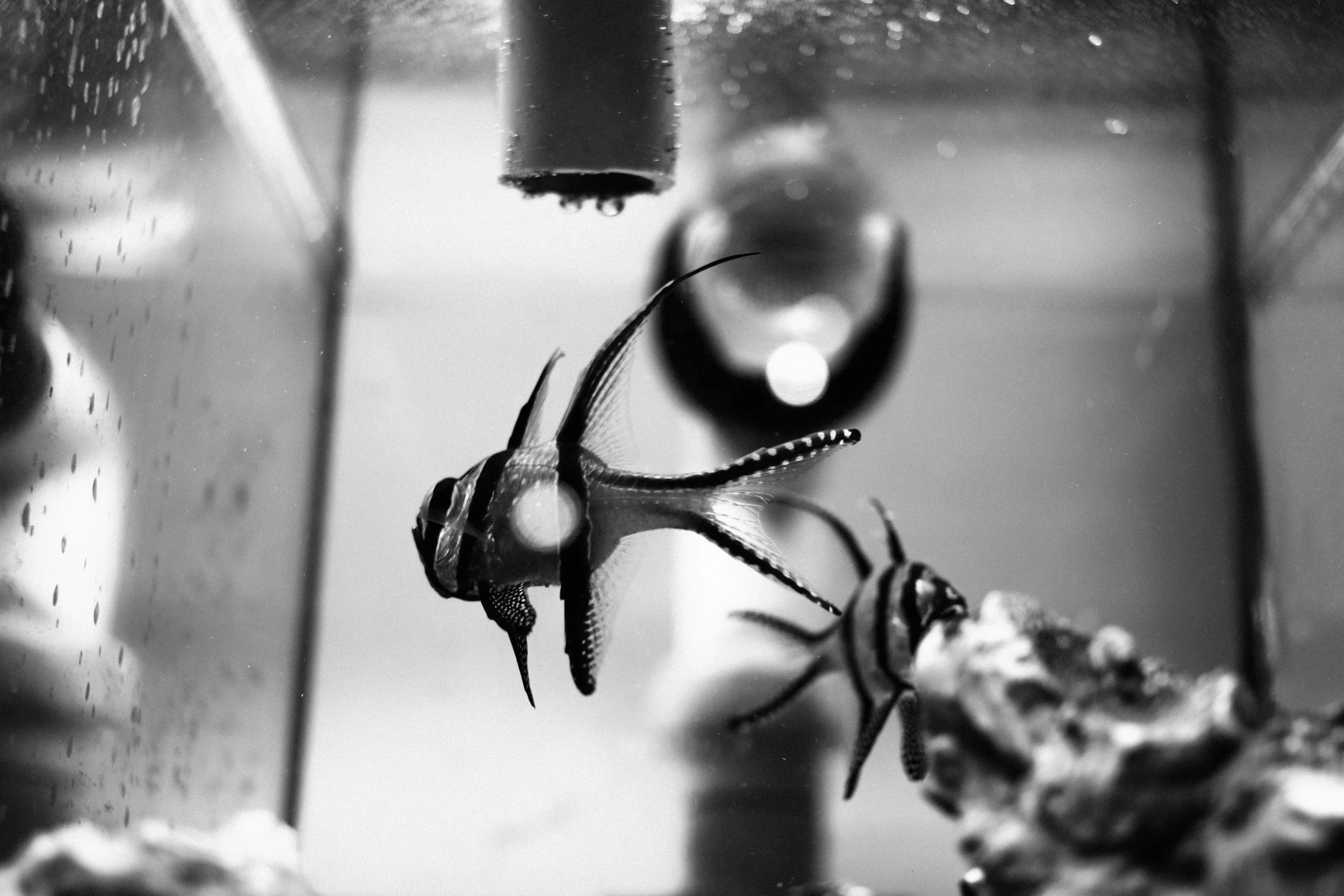 2022-03-03_07-23-20.jpg