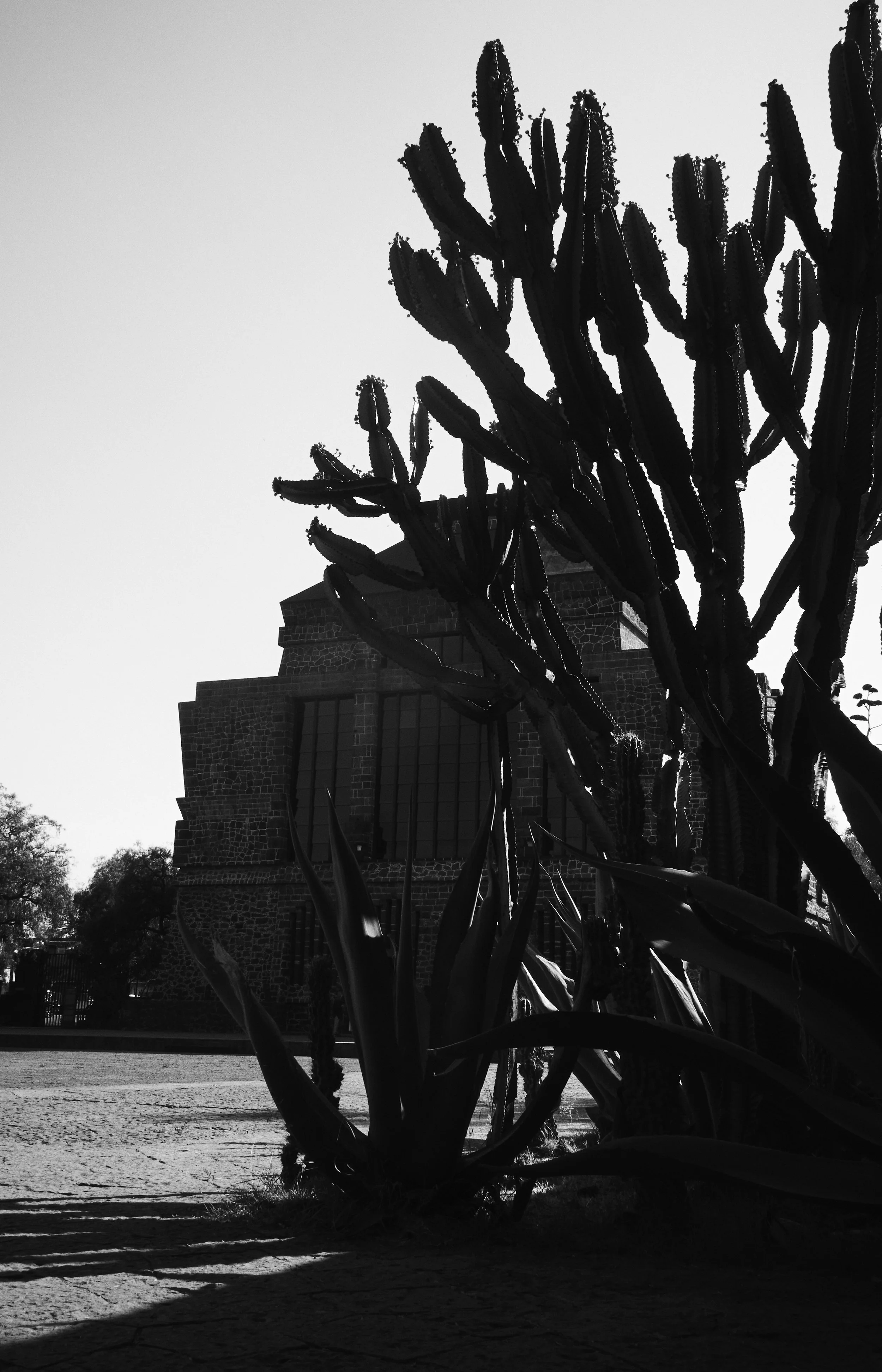 anahuacalli_ 28.jpg