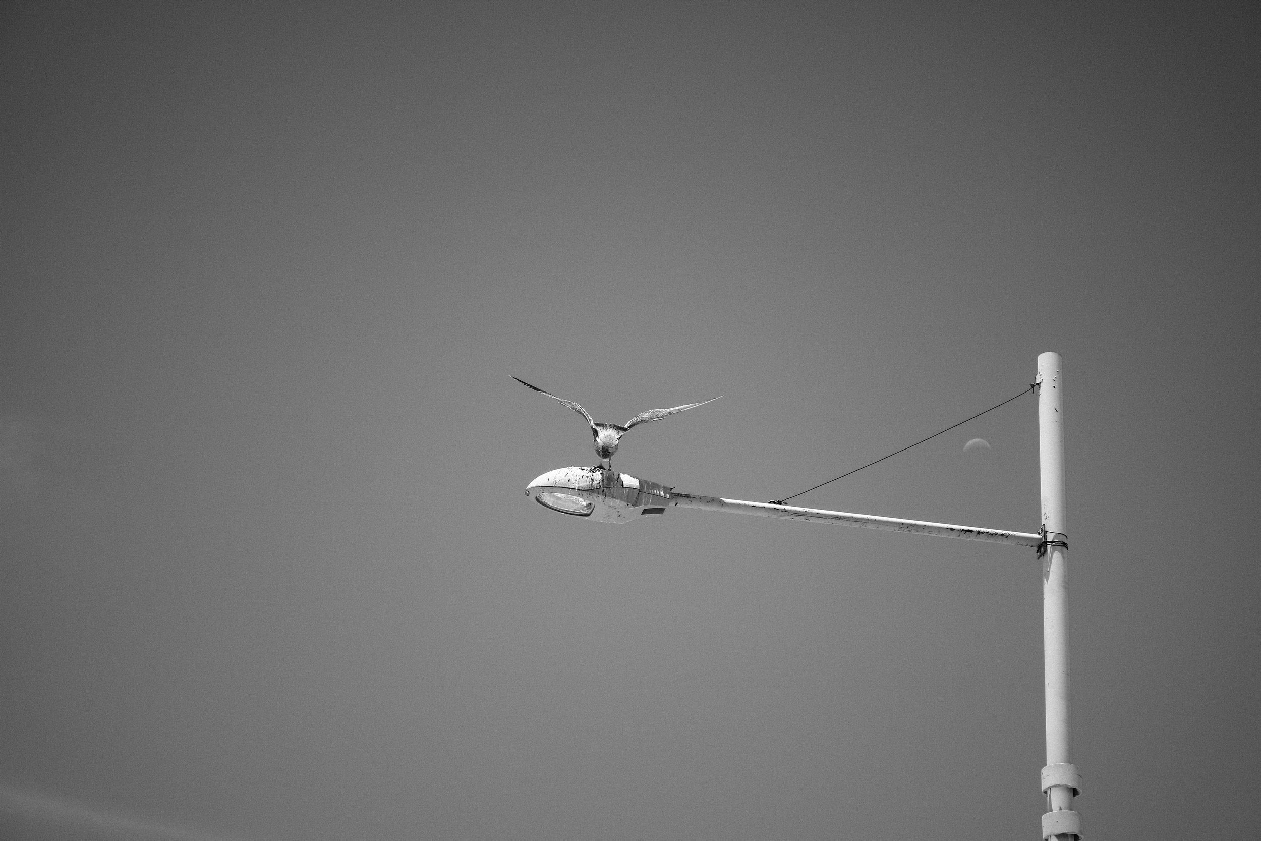 2022-03-01_07-09-31.jpg