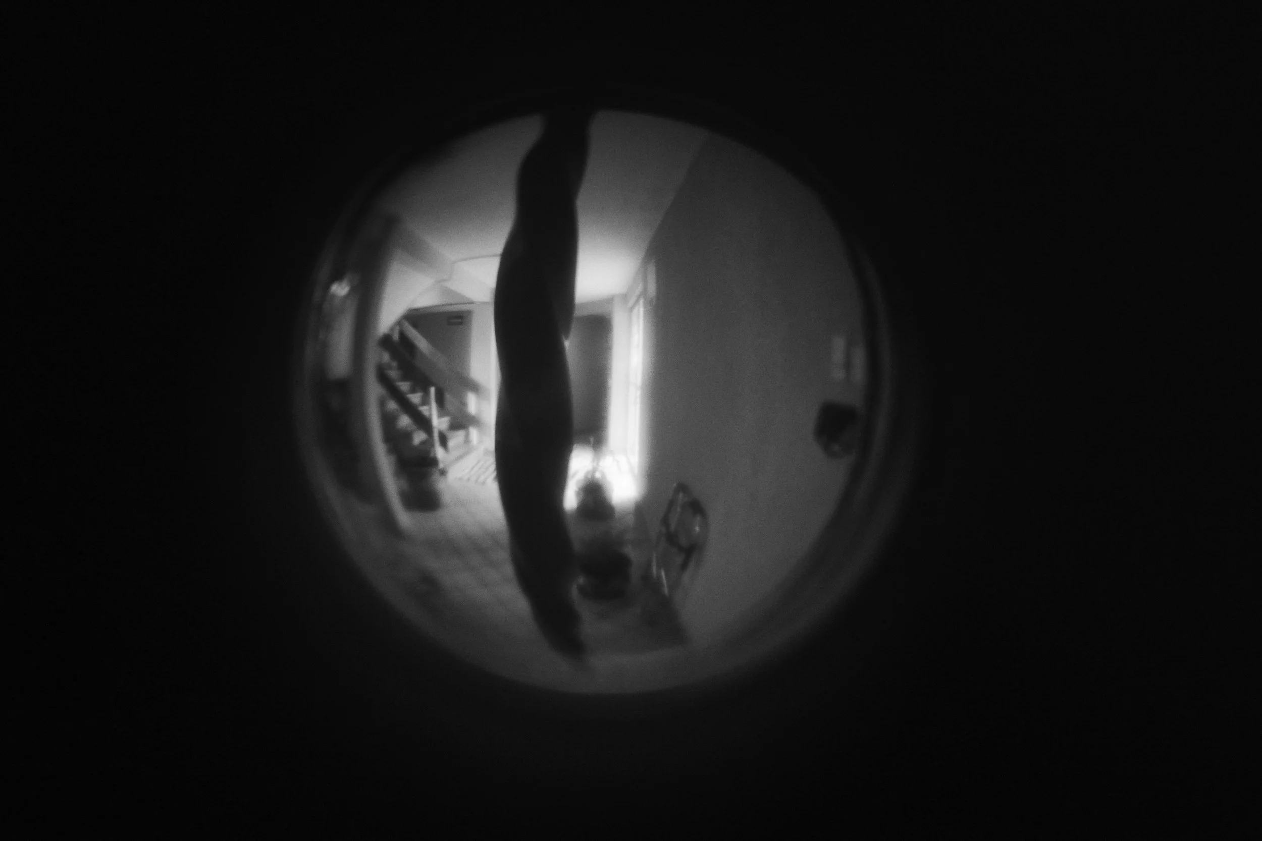 _MG_7455.jpg