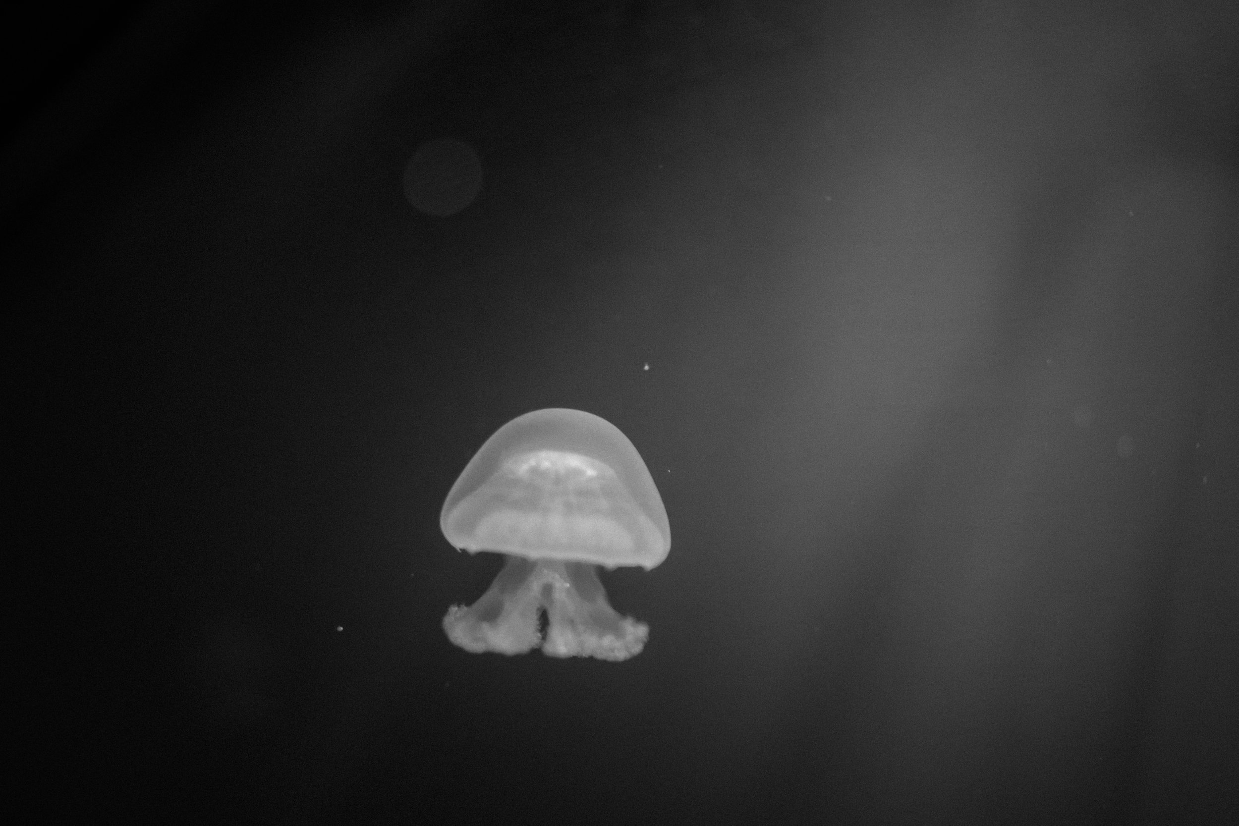 2022-03-03_04-33-24.jpg