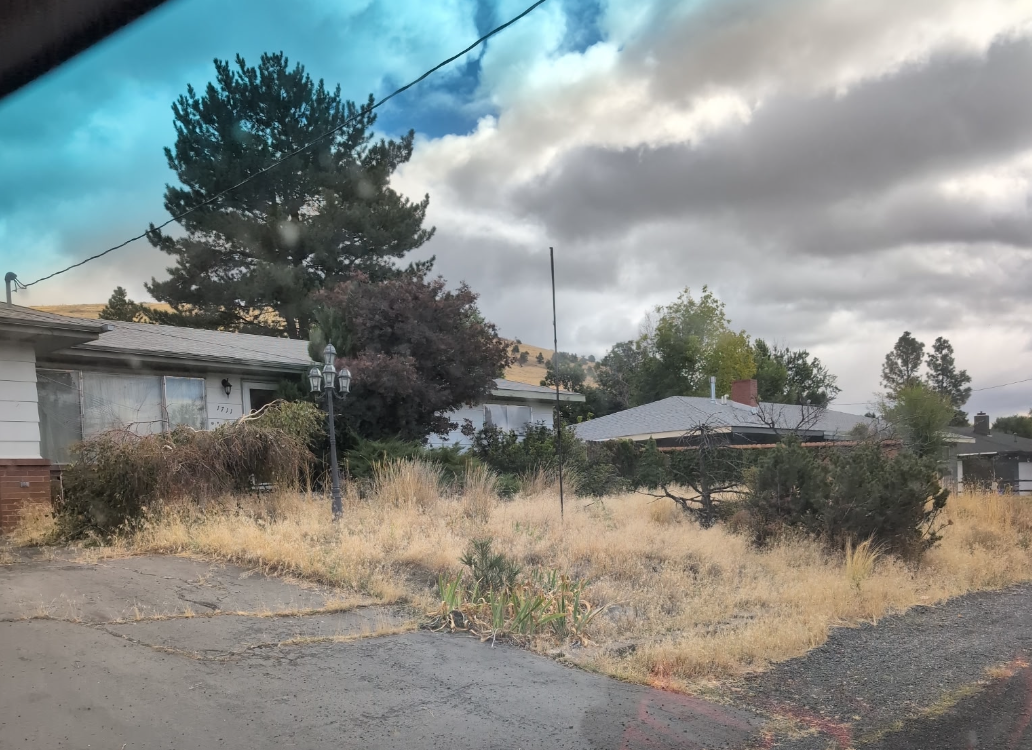 Klamath Falls Residence with overgrown yard, dry grass, trees, a house with a chimney, a street lamp, cloudy sky, and mountains in the background.
