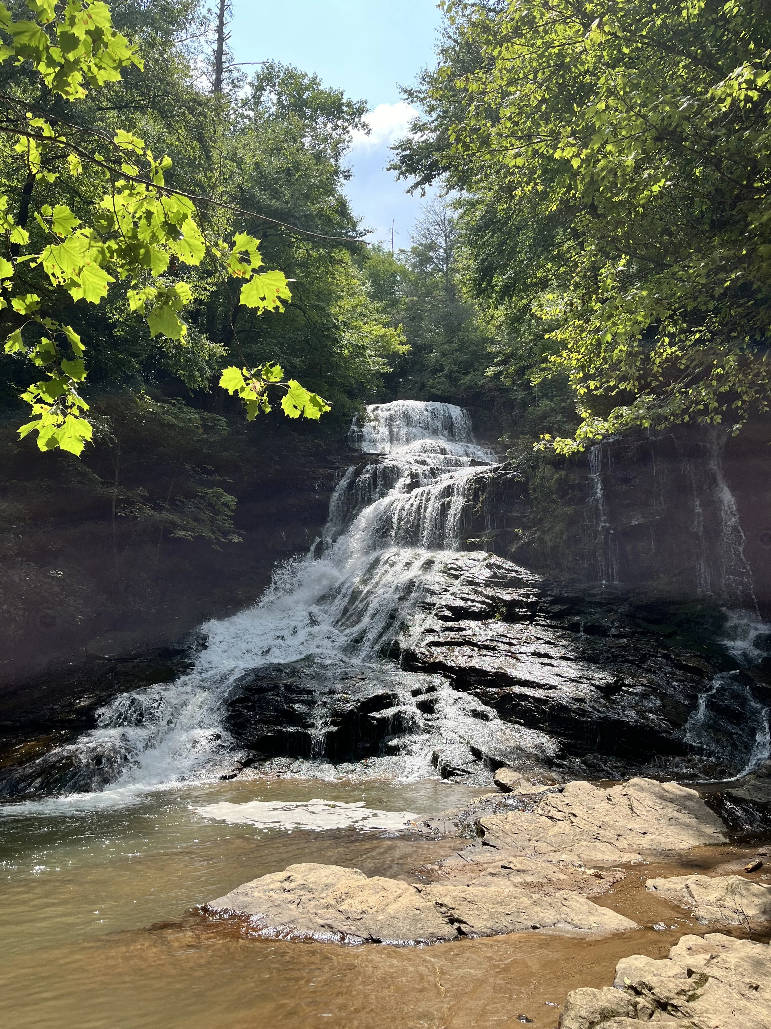 A small waterfall flowing over rocks in a lush, green forest with bright sunlight filtering through the trees.