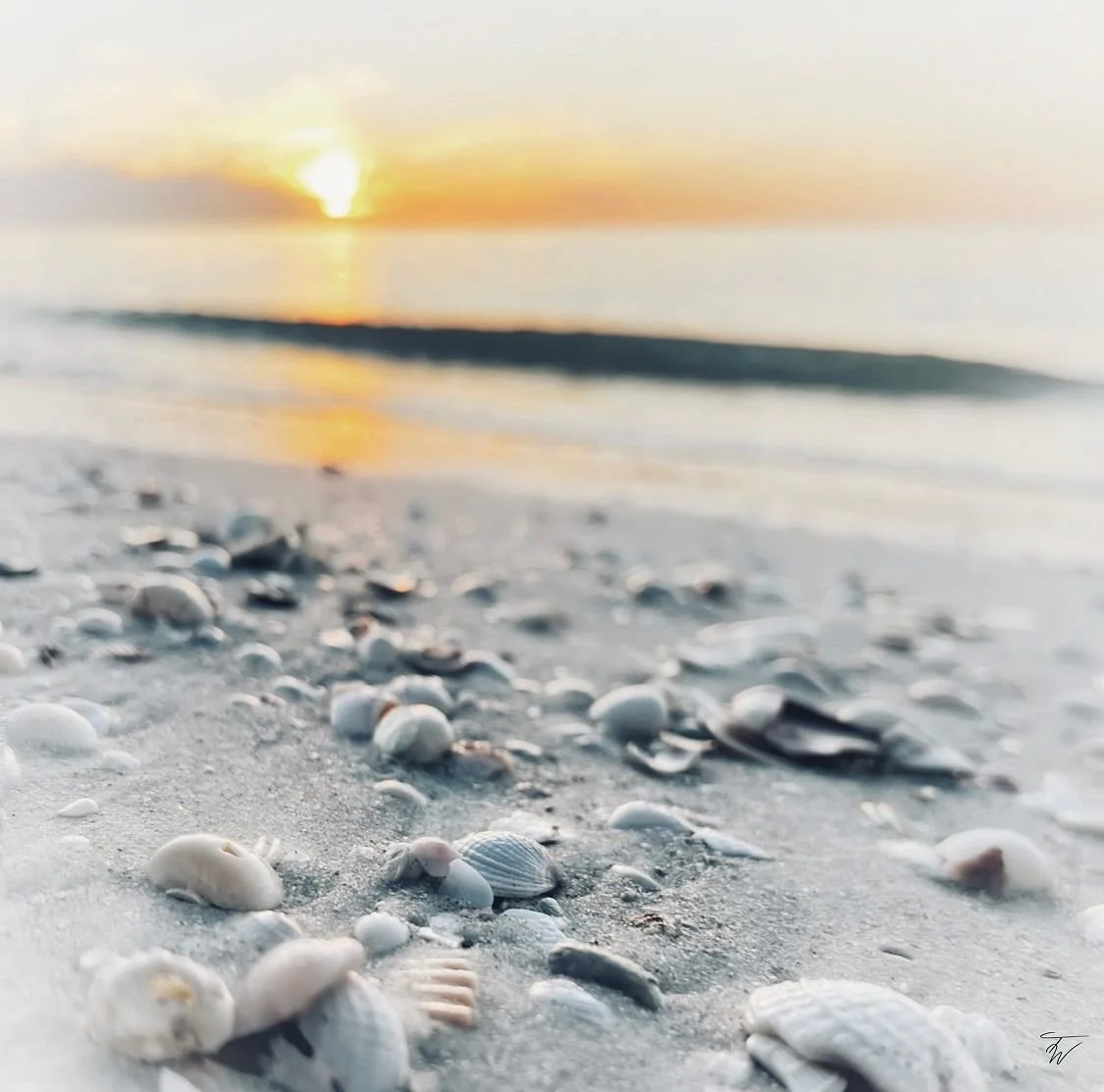 Photography_Teresa Ward_.jpg
