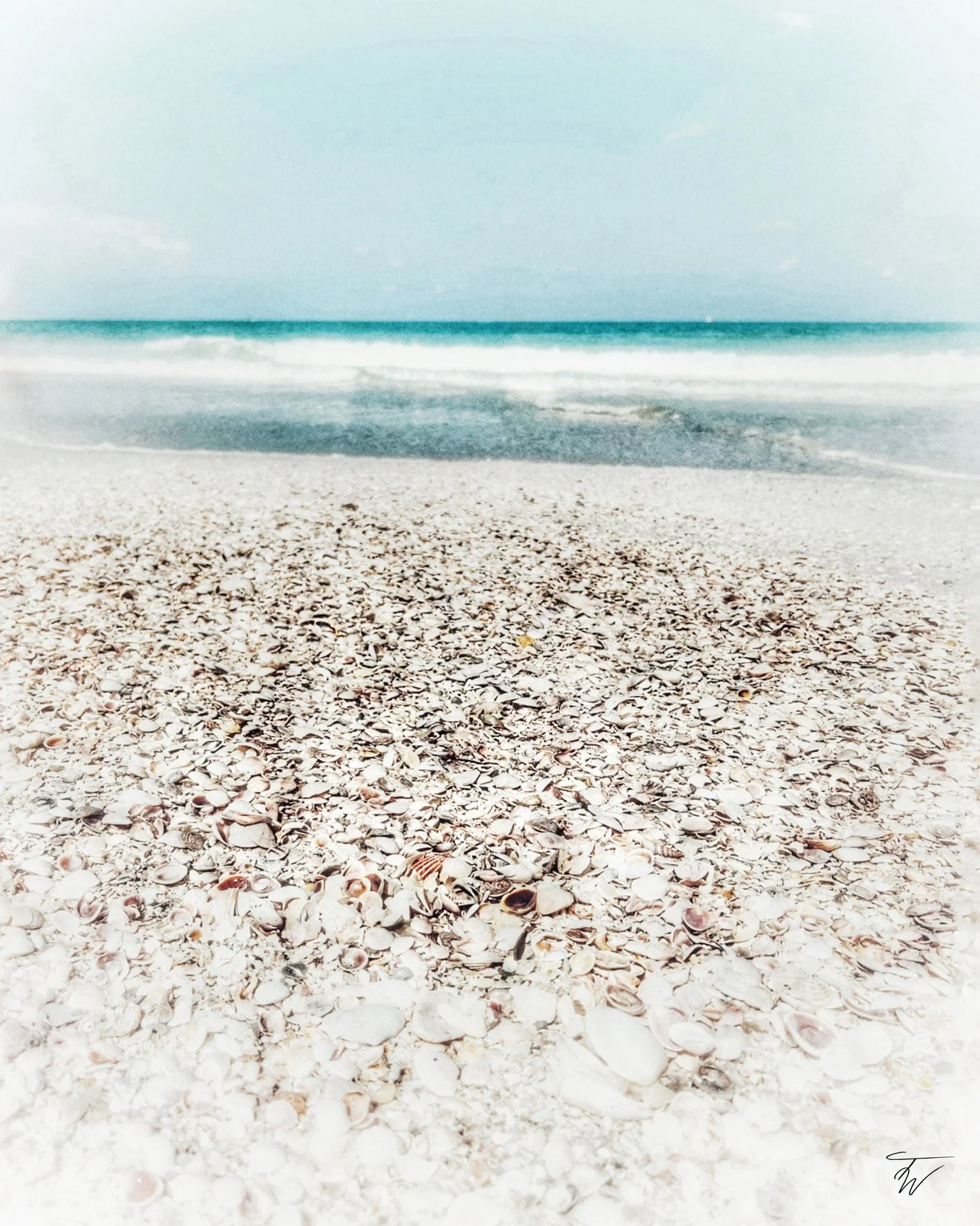 photography+Teresa Ward.jpg