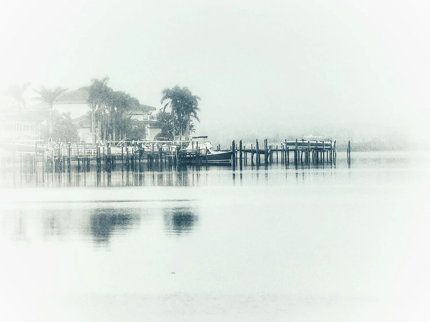 Teresa Ward_photography_.jpg