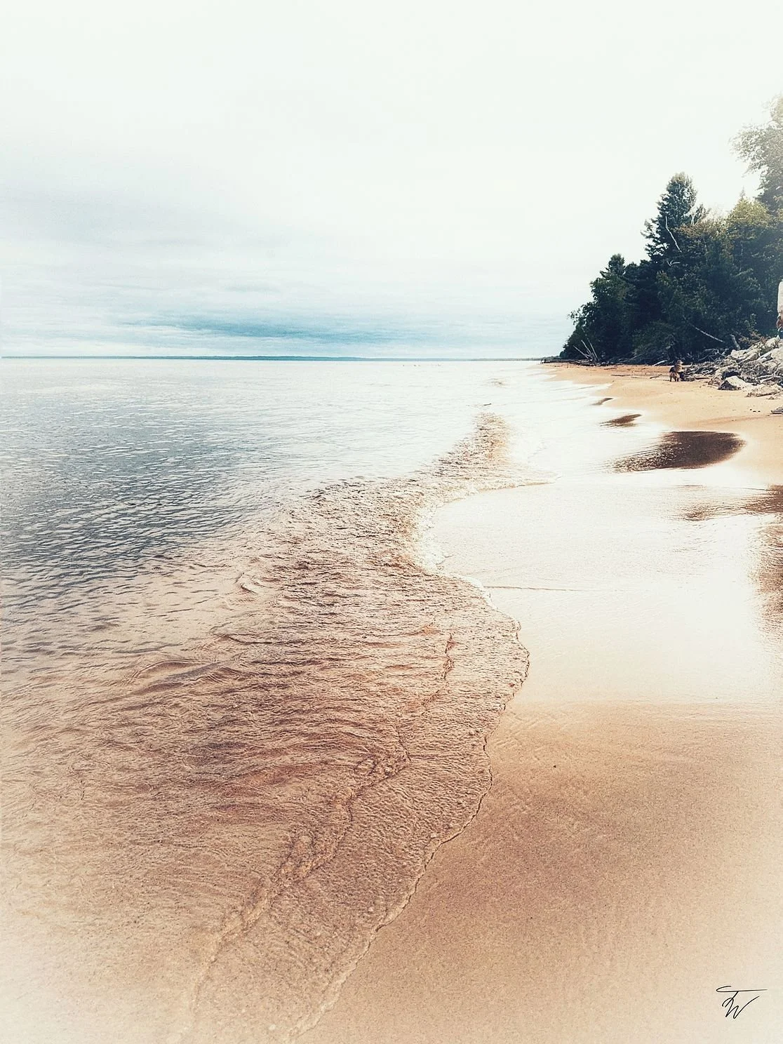 Tranquility_Teresa Ward.jpg