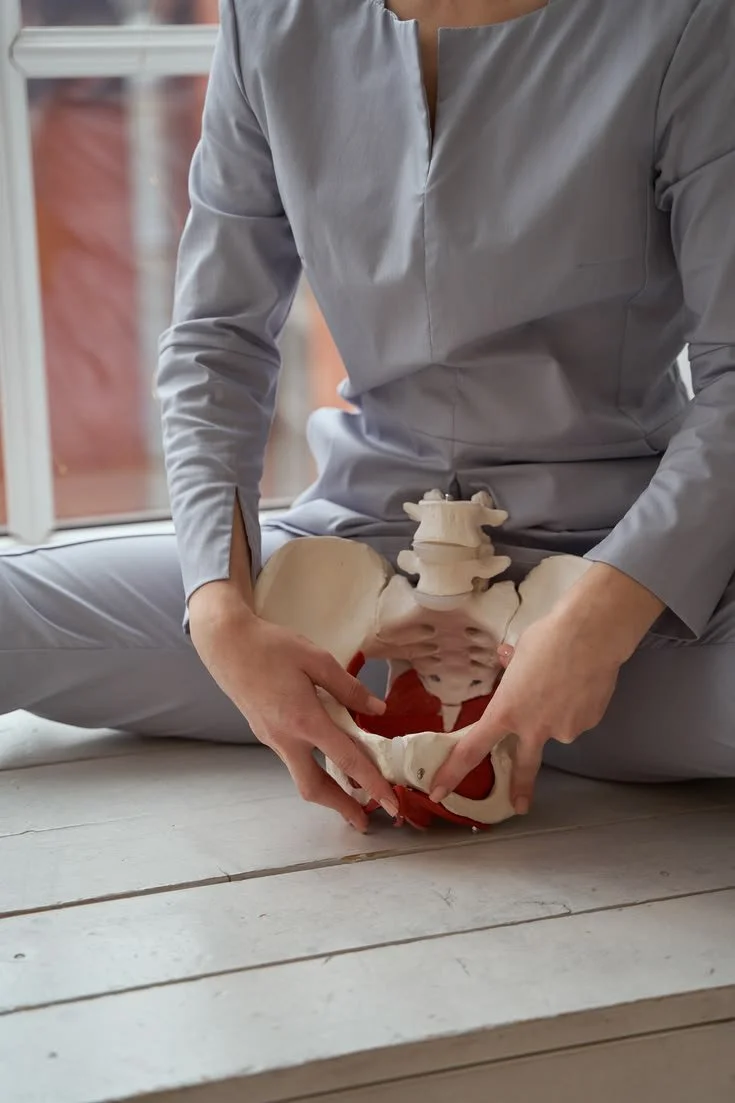 A person in gray clothing holding a pelvic bone model, sitting cross-legged on a white wooden floor near a large window.