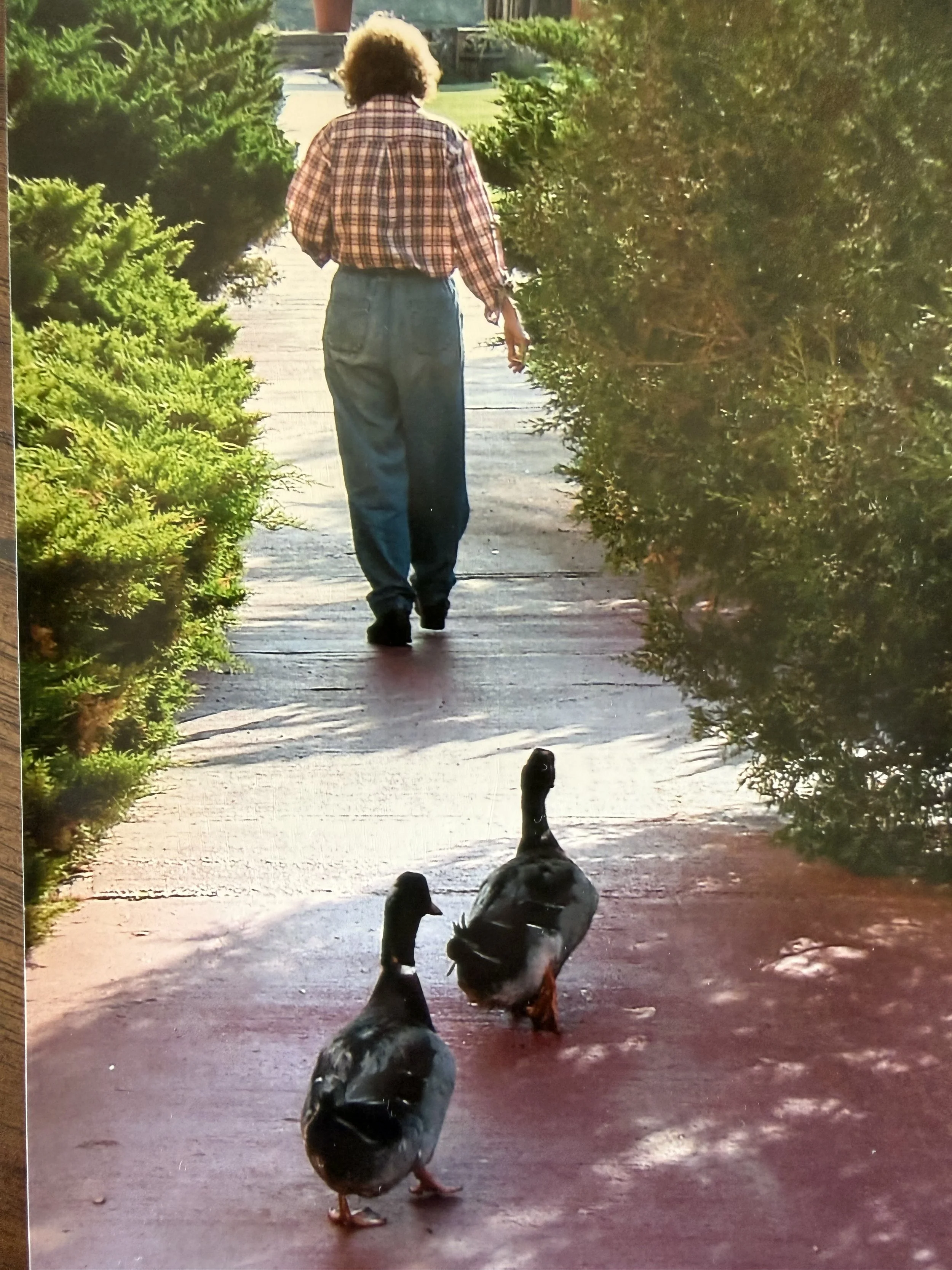 JoLynn Anderson and her ducks