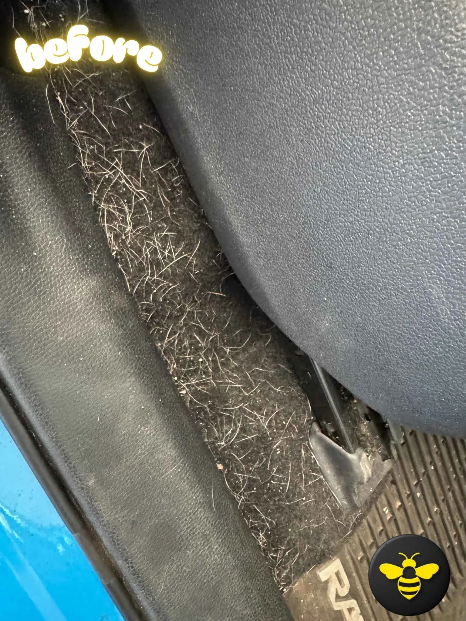 extreme pet hair in vehicle interior carpet