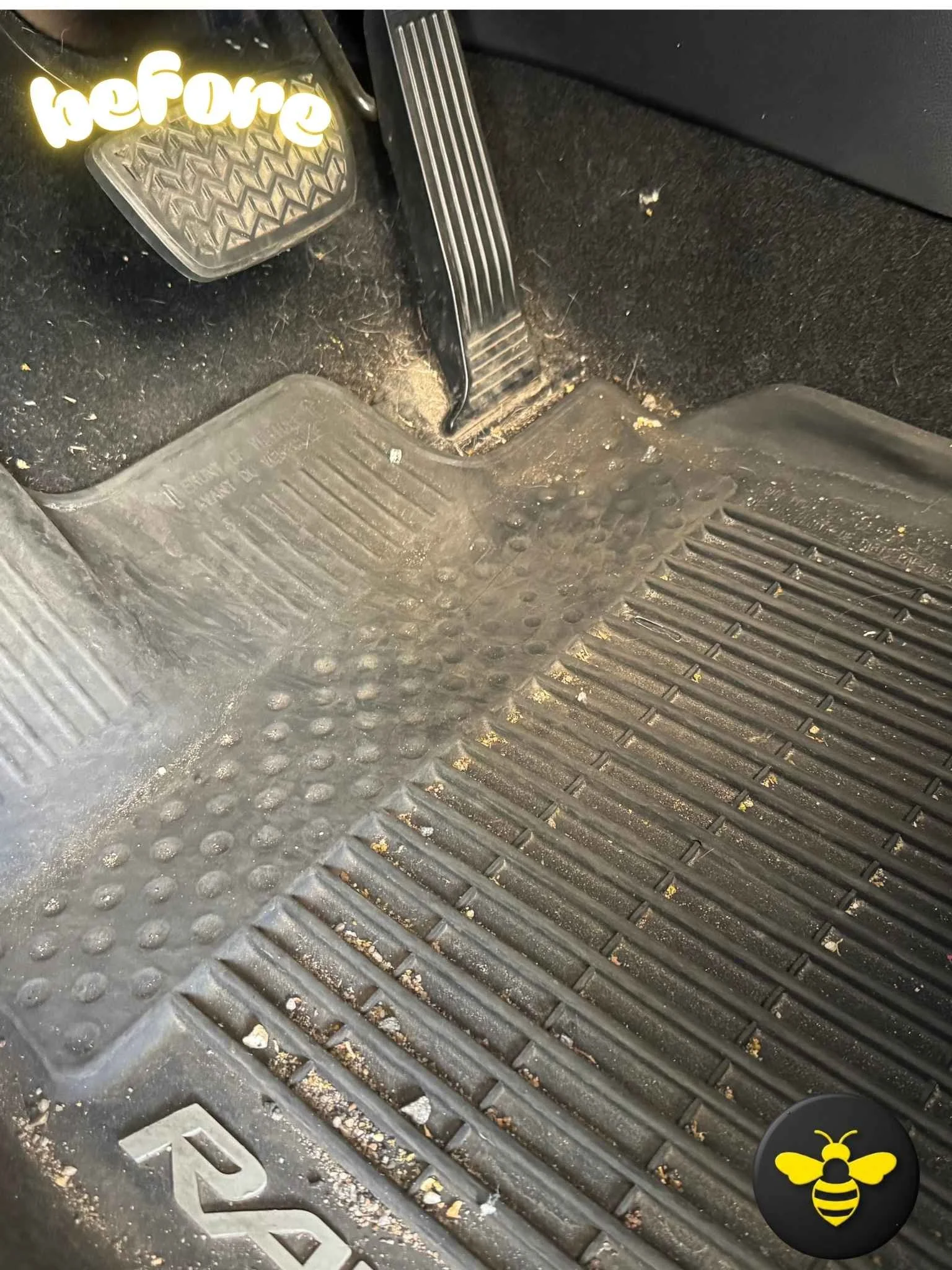before picture of a dirty rav4 with pet hair