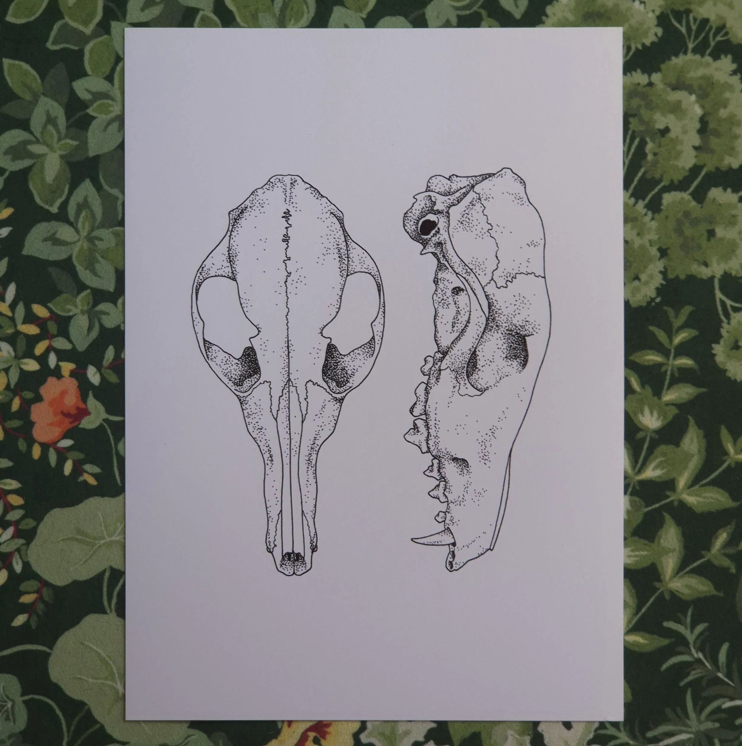 Fox Skulls Print
