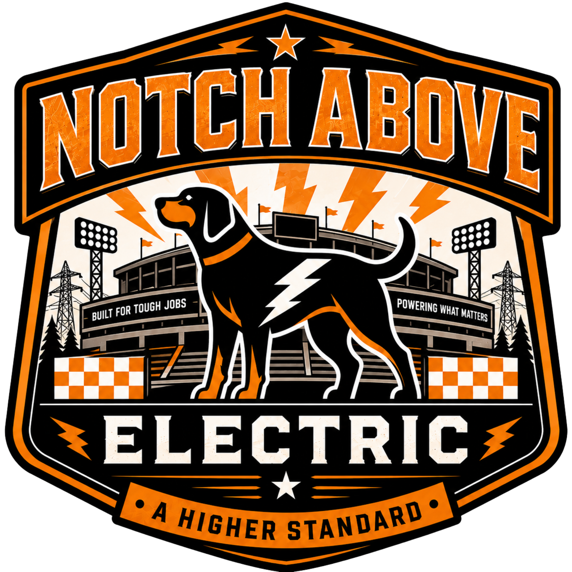 Logo for Touch Arbvie Electric, featuring an illustration of a lion's head, lightning bolts, and a stadium with flags, emphasizing strength and high standards in electrical work.