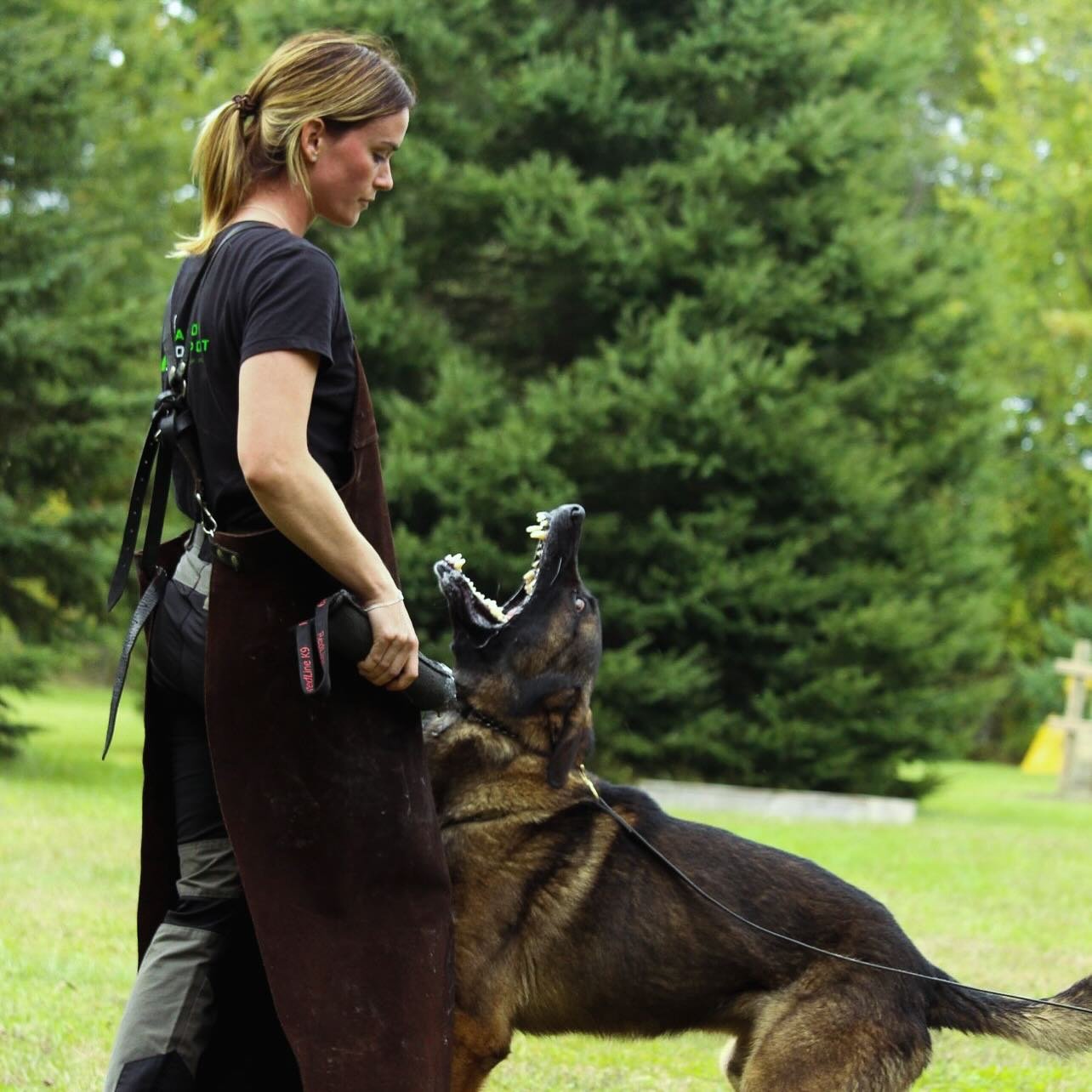 A woman with a German shepherd dog in a grassy area with trees in the background. The dog is in a training position with its mouth open.