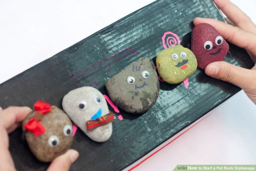 Create Your Own Rock Buddy