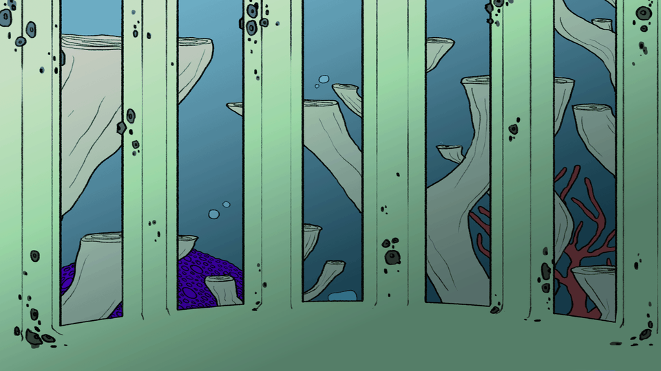 IMG_9389.GIF