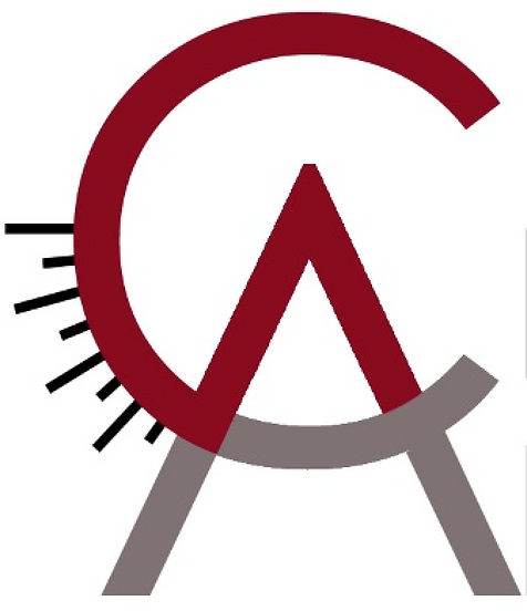Critical Angle Enterprises