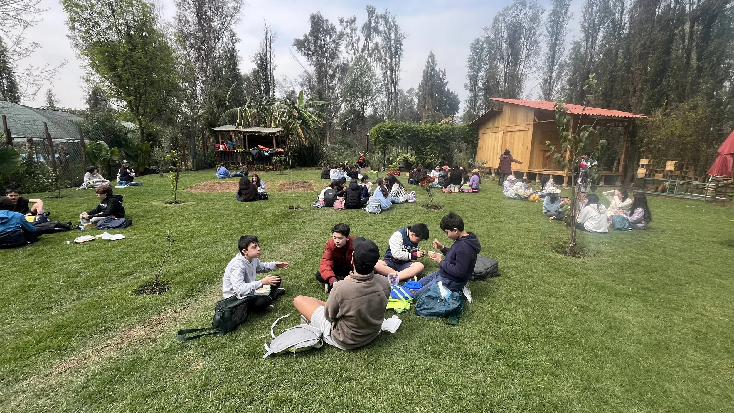 actividad pedagógica con niños.jpg