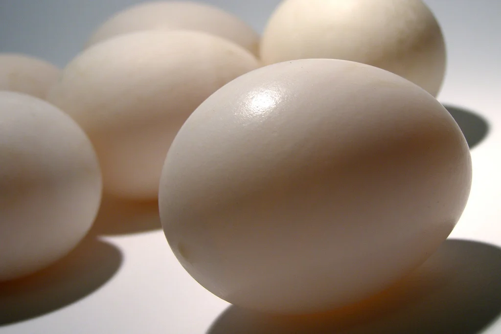 duck eggs