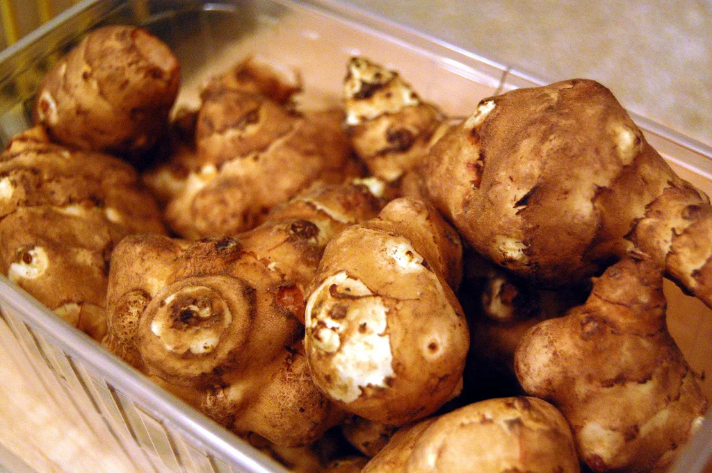 jerusalem artichokes