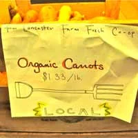 Carrots.jpg