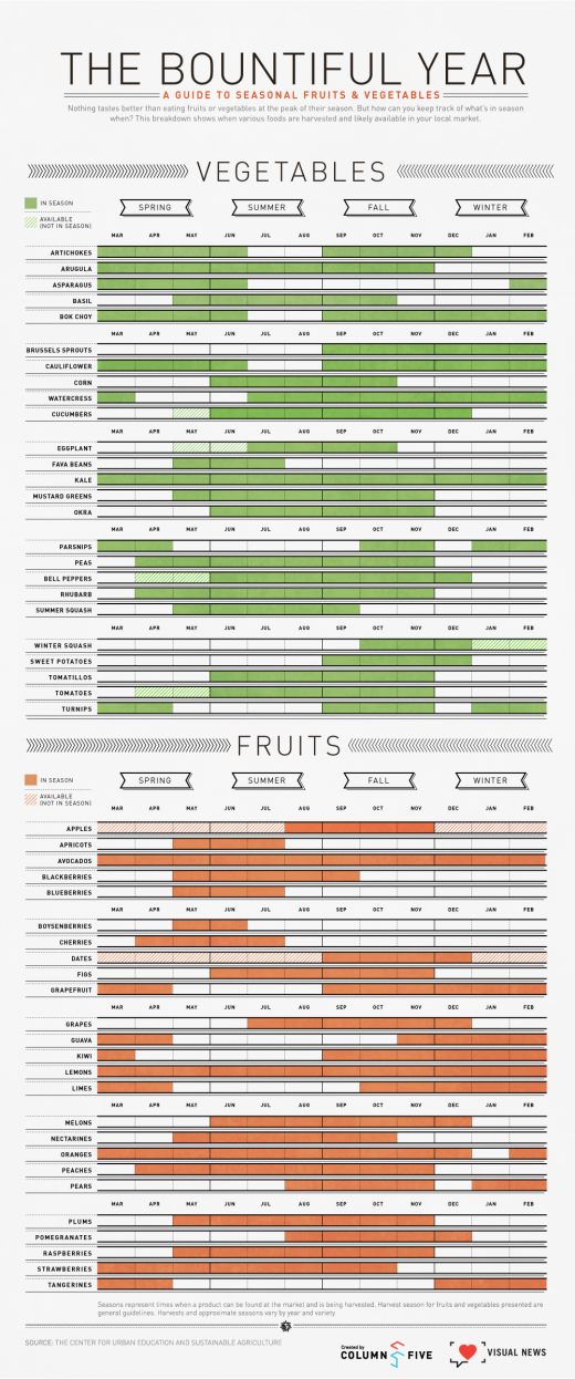 TheBountifulYearAGuidetoSeasonalFruitsandVegetables_4fcfe941dd2e3_w520