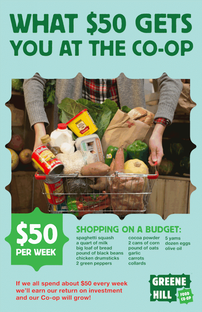 flyer11X17_budget