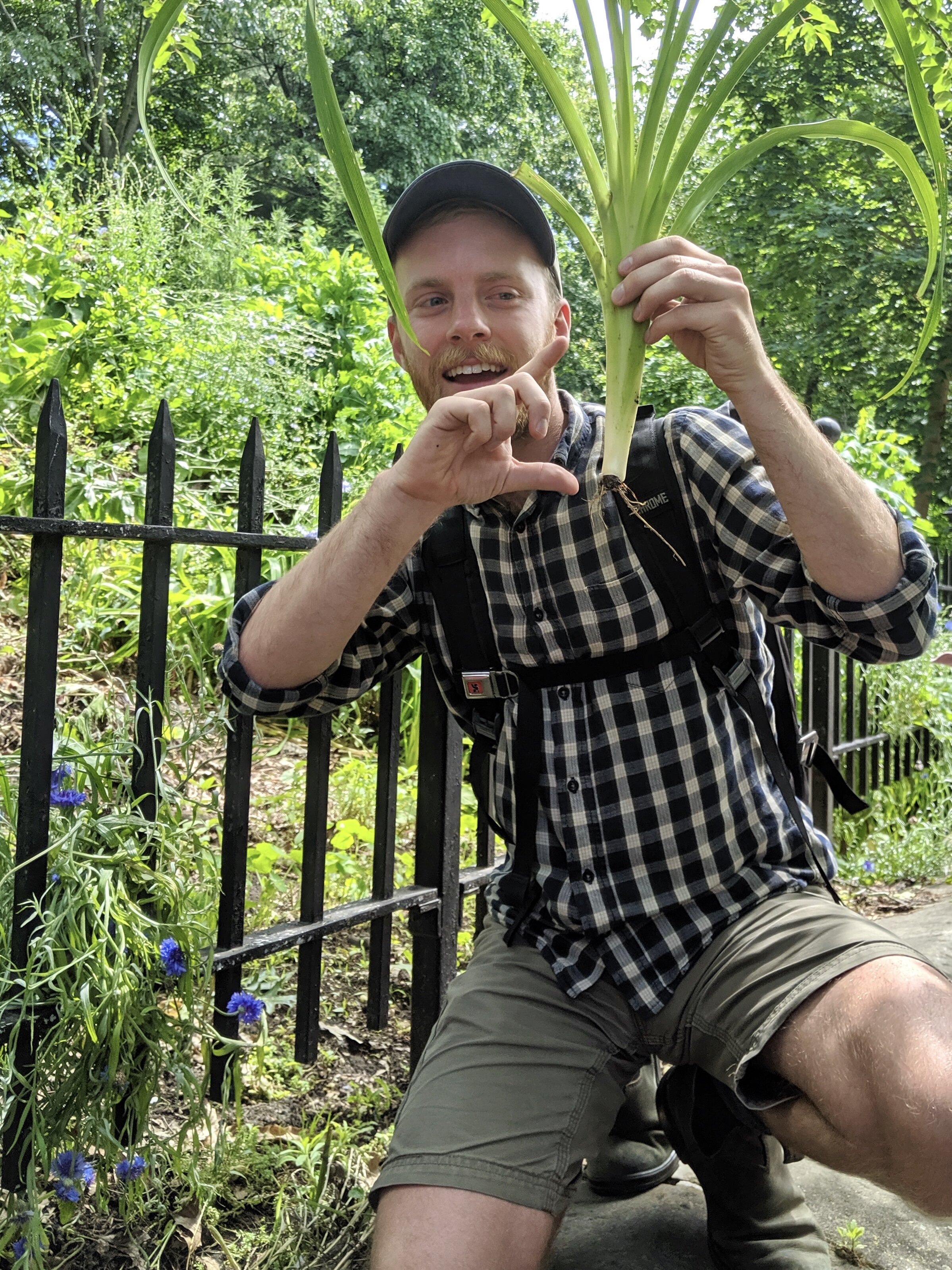 plant_wisdom_farm_school_nyc_2.jpeg