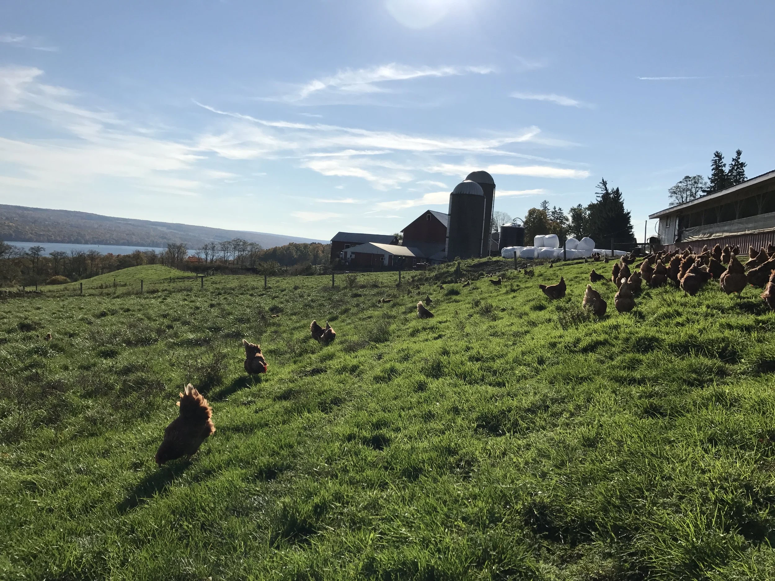 Red Gate Grocer and Scenic Vista Farm_1.jpg