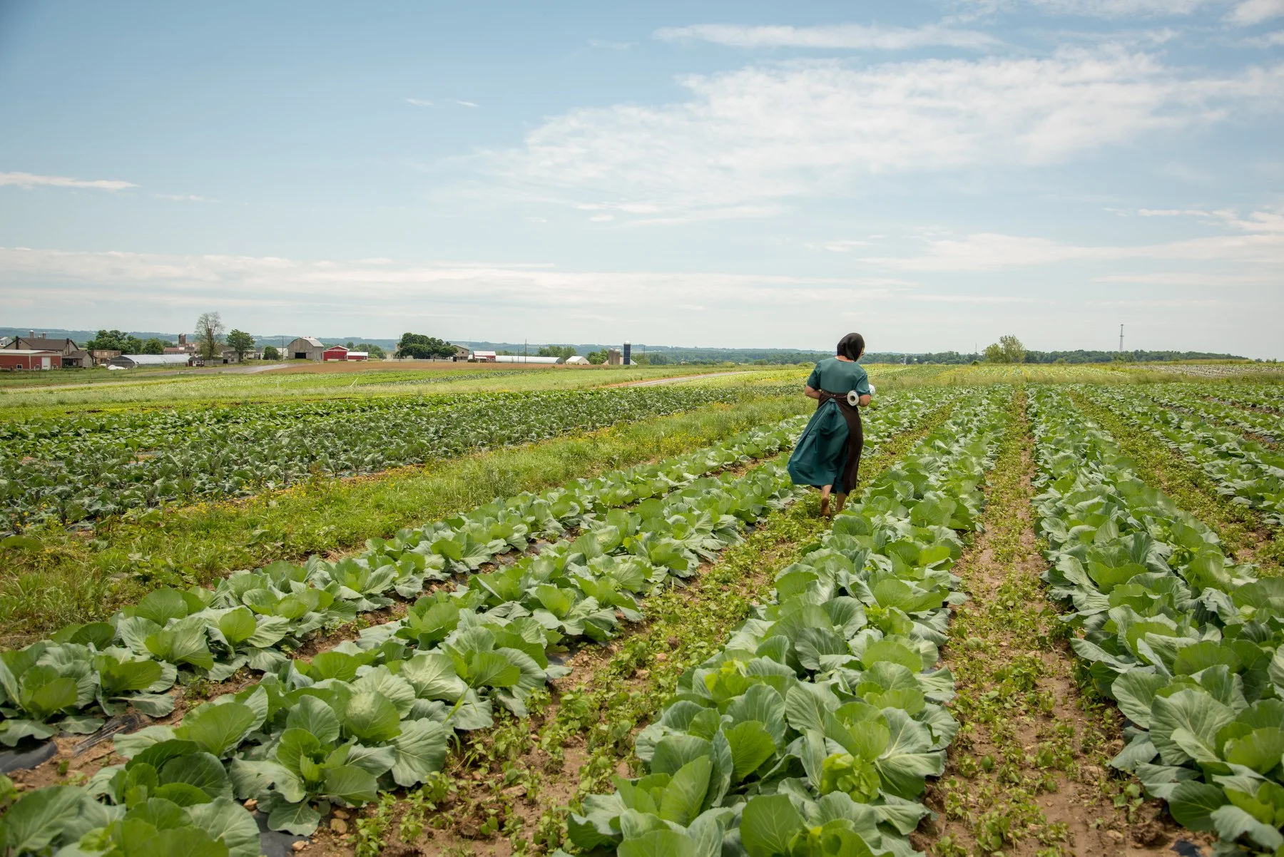 getting_local_lancaster_farm_1.jpg