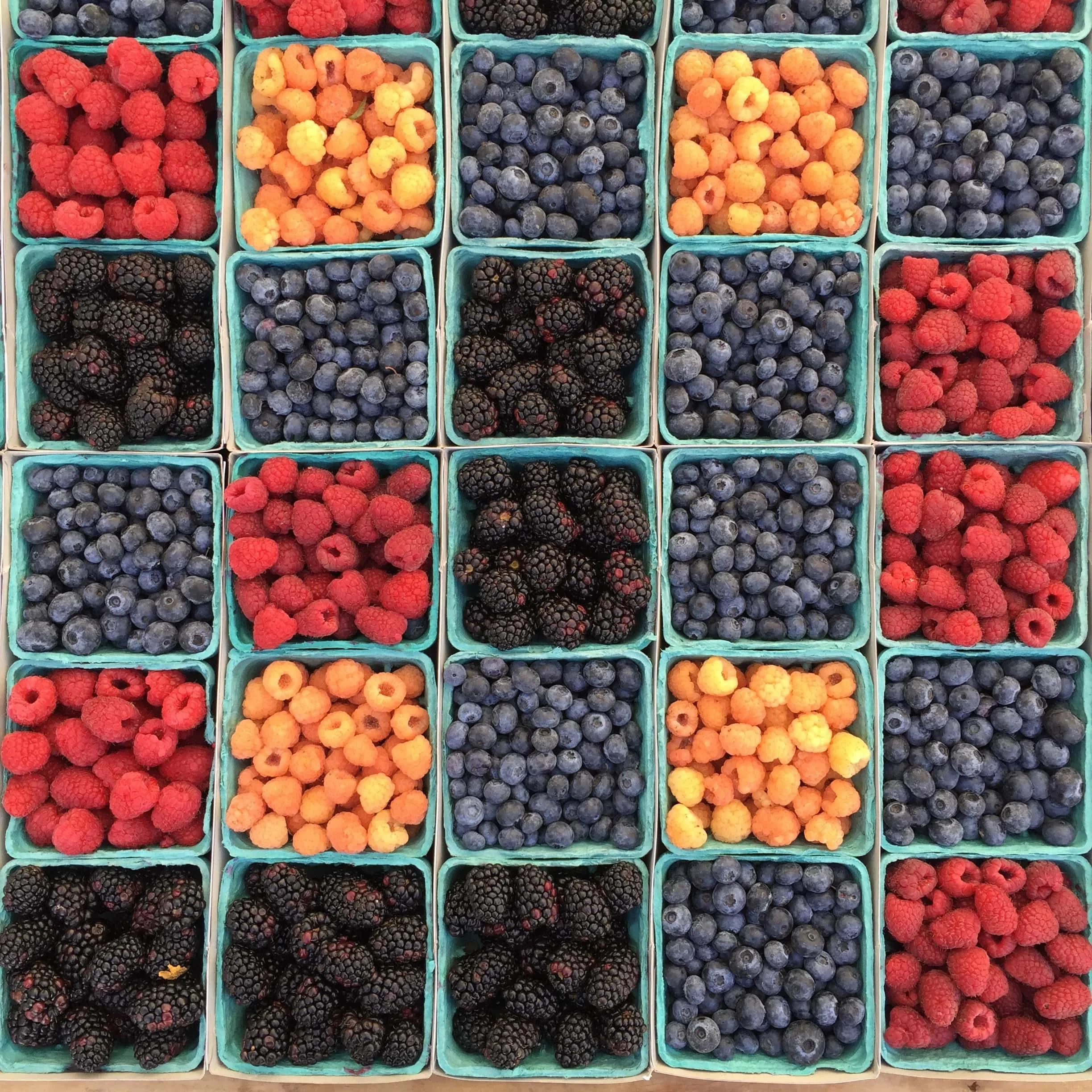 Farmer Hot Takes: Gushing for Berries at the Co-op this Summer