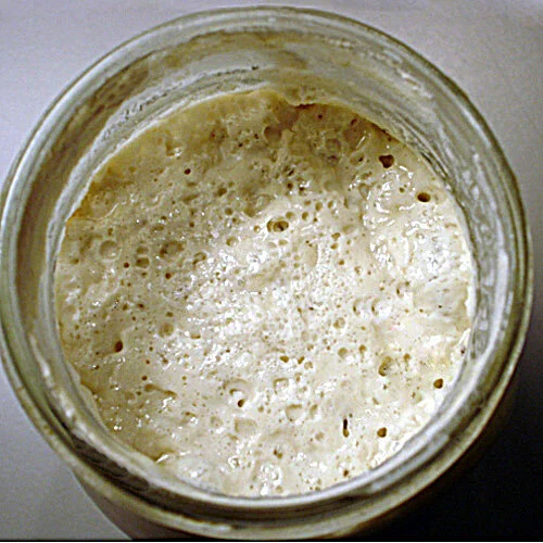 SourdoughStarter_BevSykes.jpg