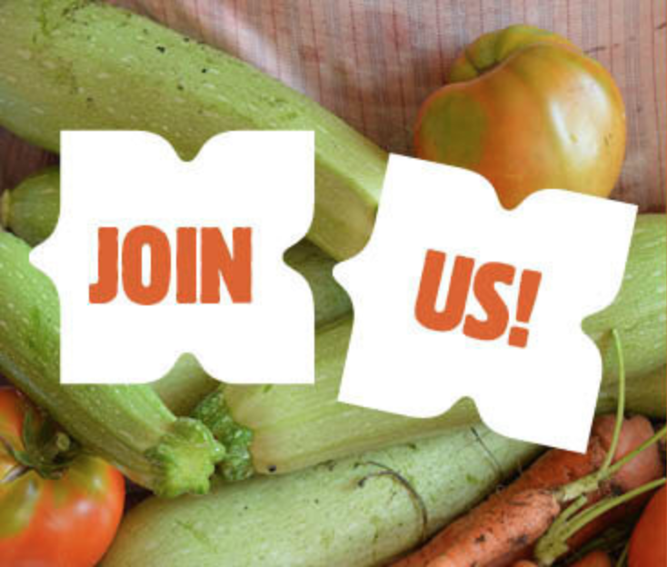 Summer Squash Special: Become a Co-op Member Now!