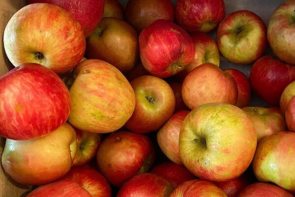 Co-op_Apples-2.jpg