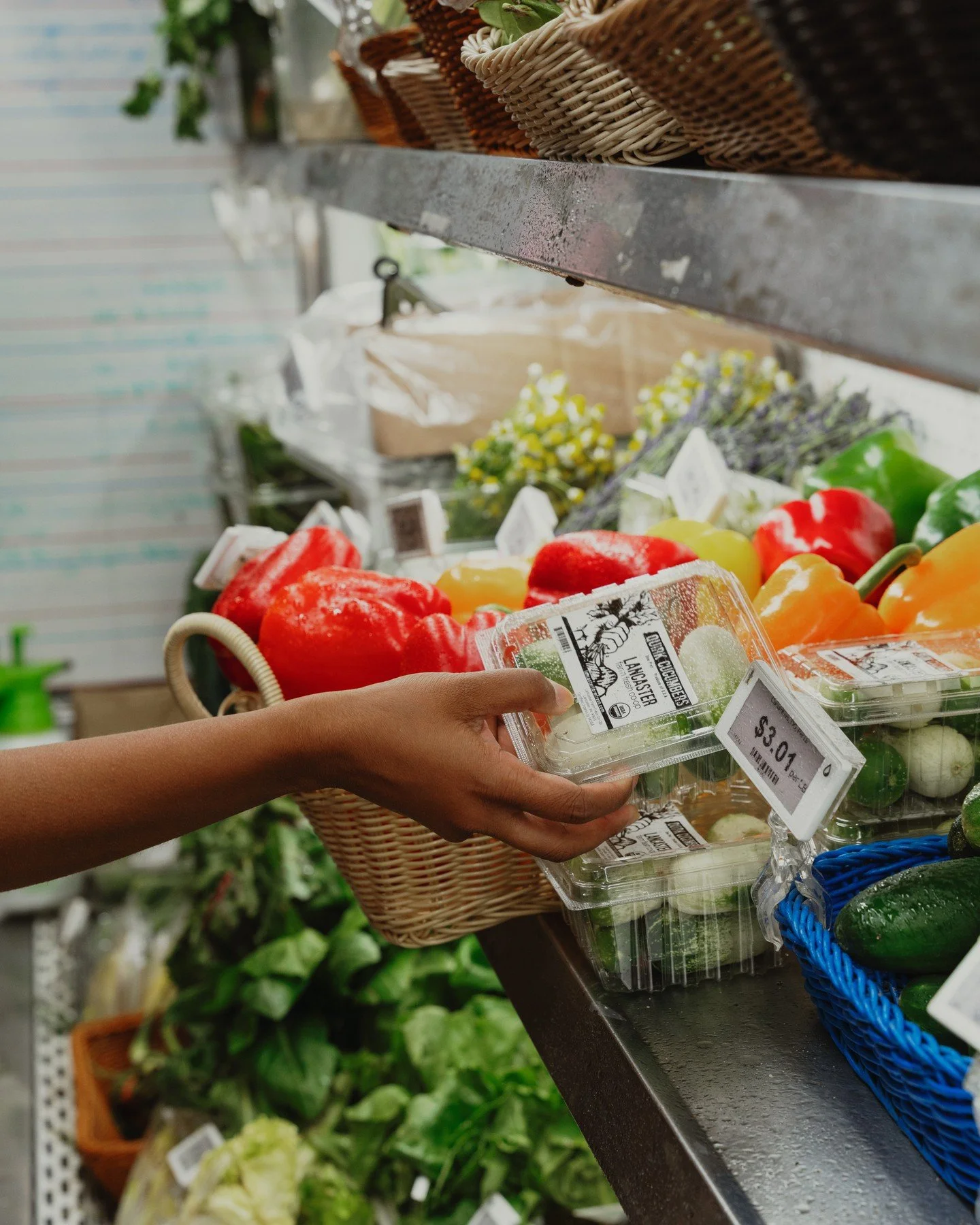 We have Quirk Cucumbers from @lancasterfarmfresh! These short, variegated cucumbers have a slight acidity, crisp bite and are perfect for both salads or snacks on a warm day.⁠
⁠
[Image description: A hand picks up a box of @lancasterfarmfresh quirk c