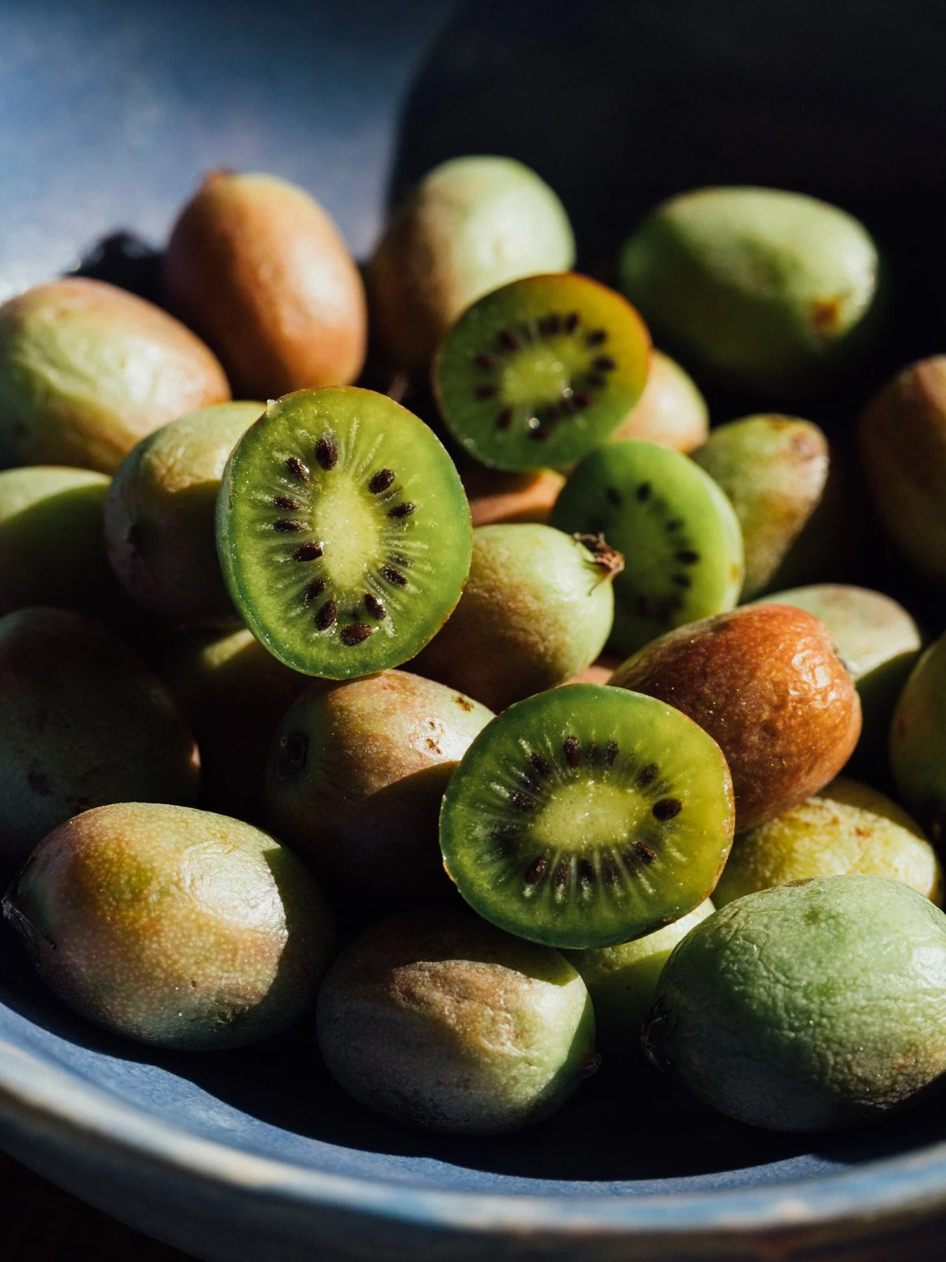 Big news: it's Kiwi Berry Season! These @ladybugbrandproduce kiwi berries are delicious and we cannot get enough. The smooth skinned cousins of larger kiwis, they are the size of concord grapes and taste just like a kiwi. Come pick yours up while the