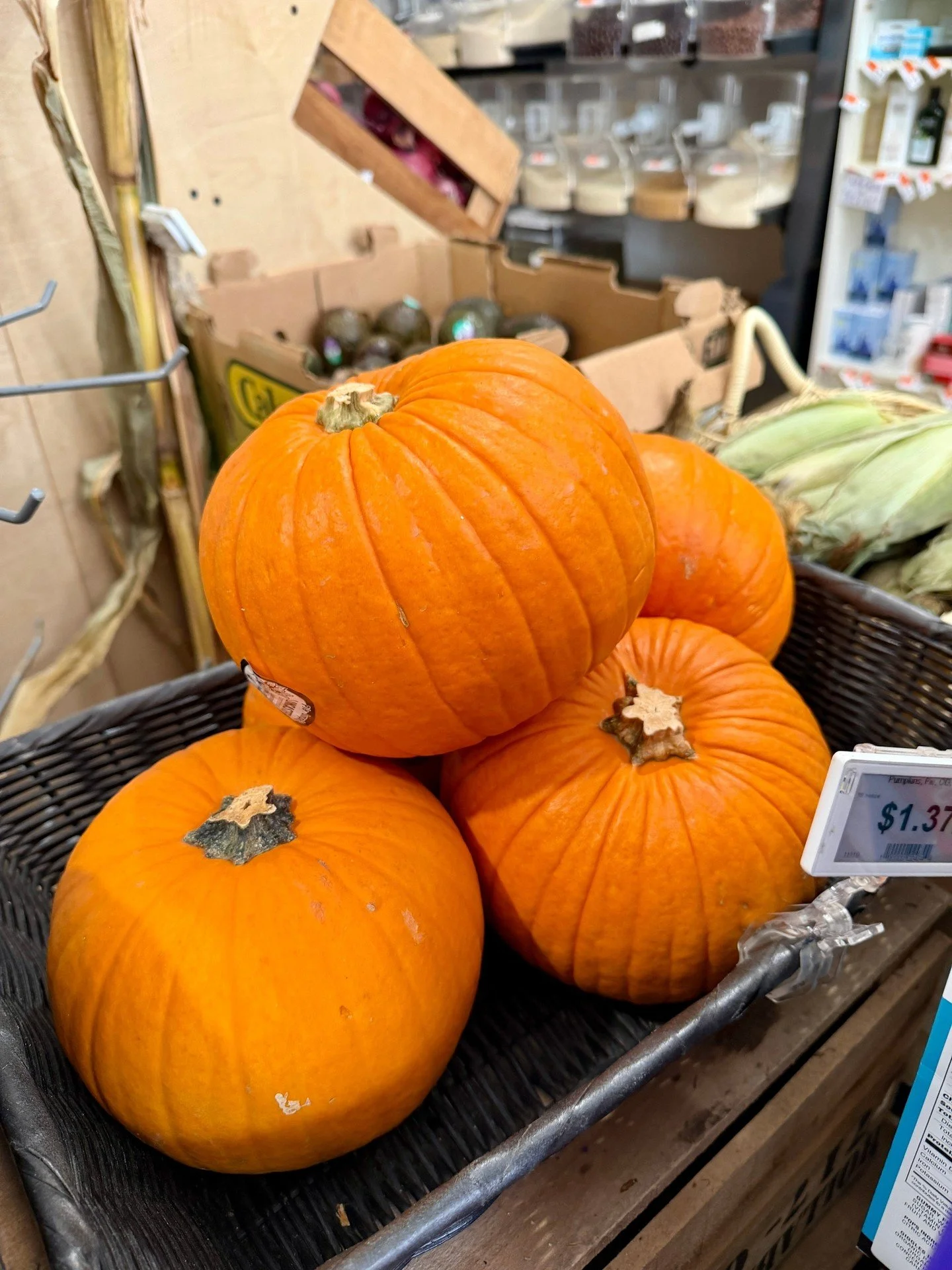 We love pumpkin 🎃(and everything that kinda looks or tastes like pumpkin) at the Co-op. Come and get your fill this season. ⁠
⁠
[Image description: Several images of round orange pumpkins and different types of squashes on sale in a grocery store.]