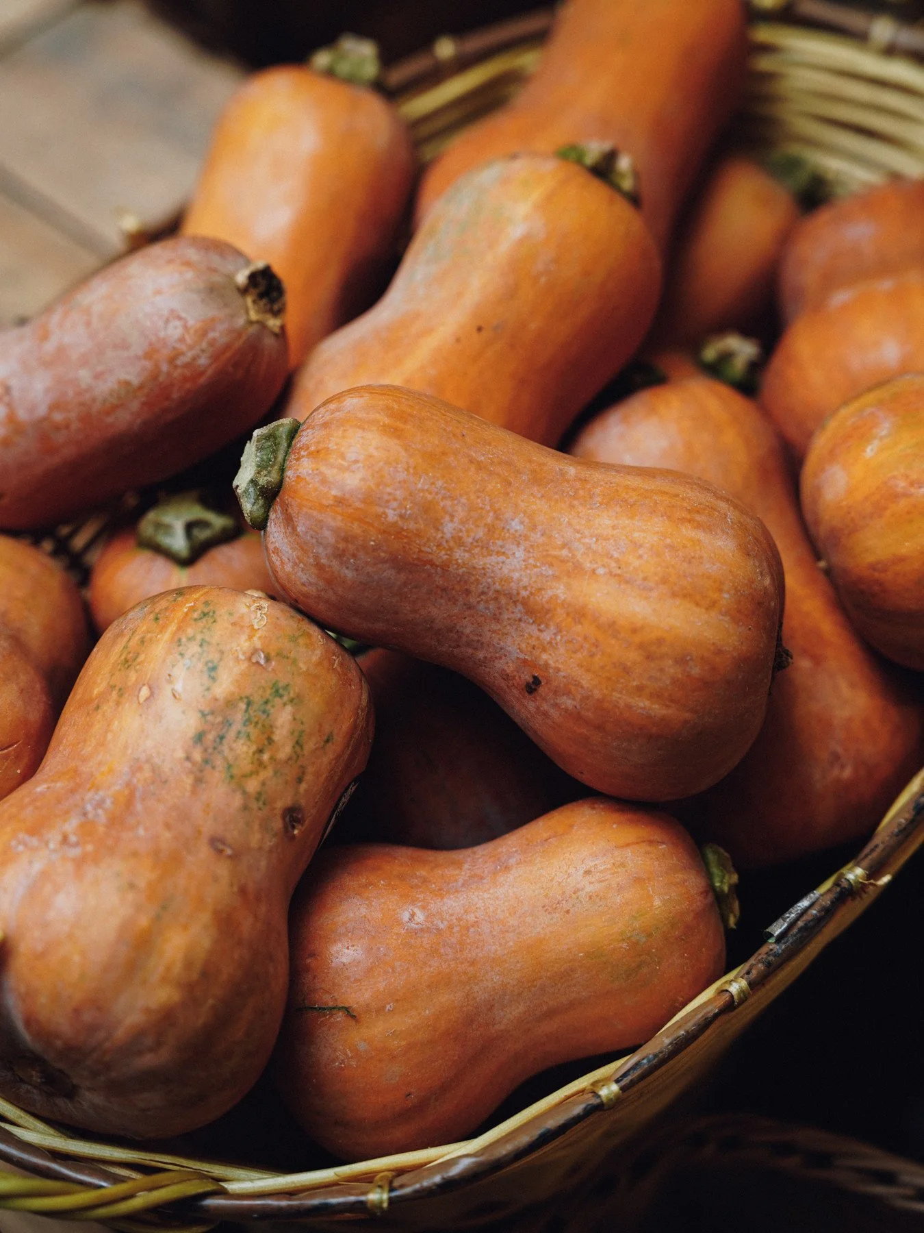 At our last Co-op meeting, the honey nut squash got the most votes for favorite fall produce. We are biased, but our honey nuts are extra sweet. 😘⁠
⁠
[Image Description: A full basket of honey nut squash.]