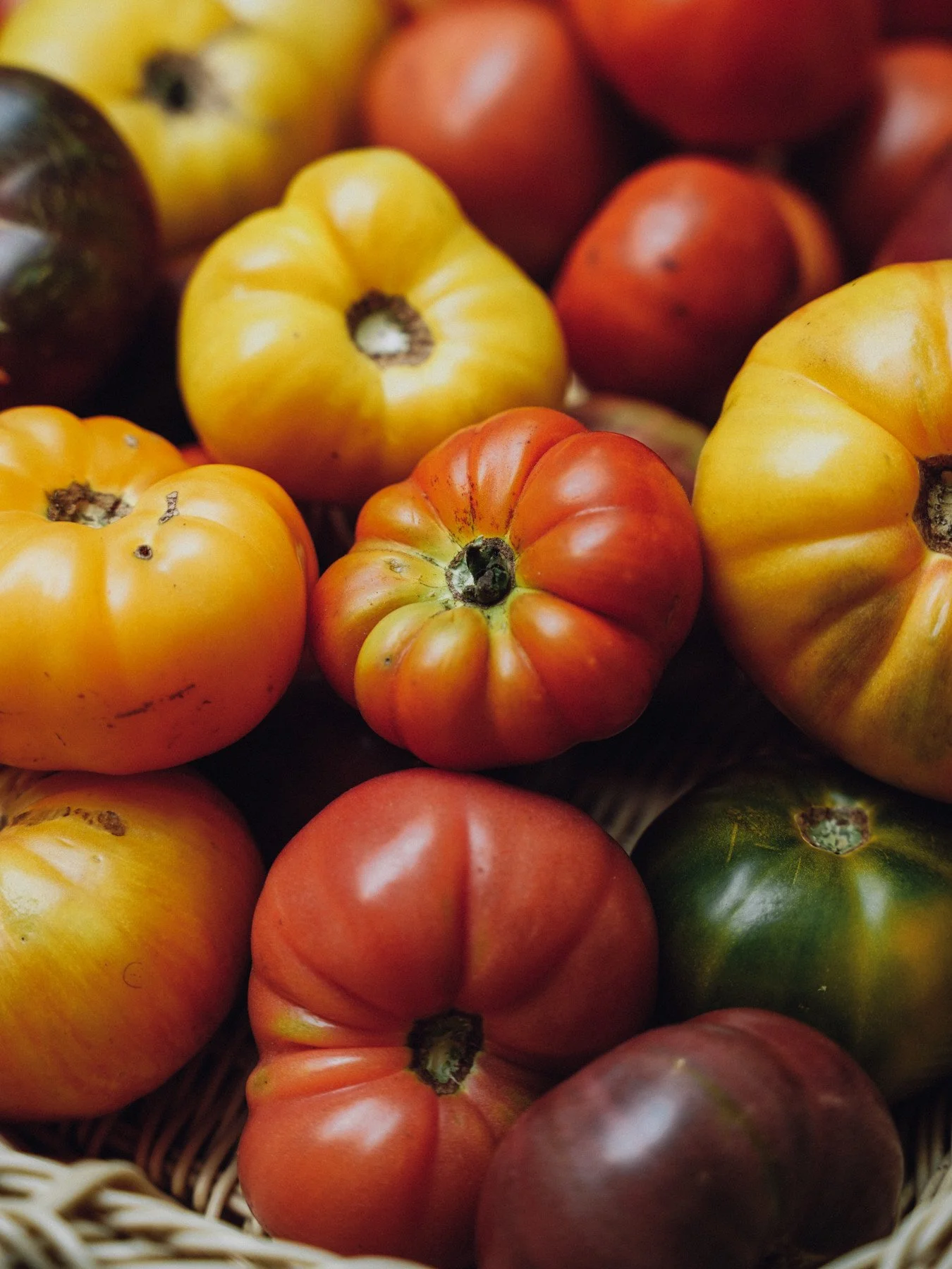 Mourning the end of tomato season? There's still time to get your last heirloom tomatoes at the Co-op! ⁠
⁠
[Image Description: A full basket of yellow, red, purple and green heirloom tomatoes.]