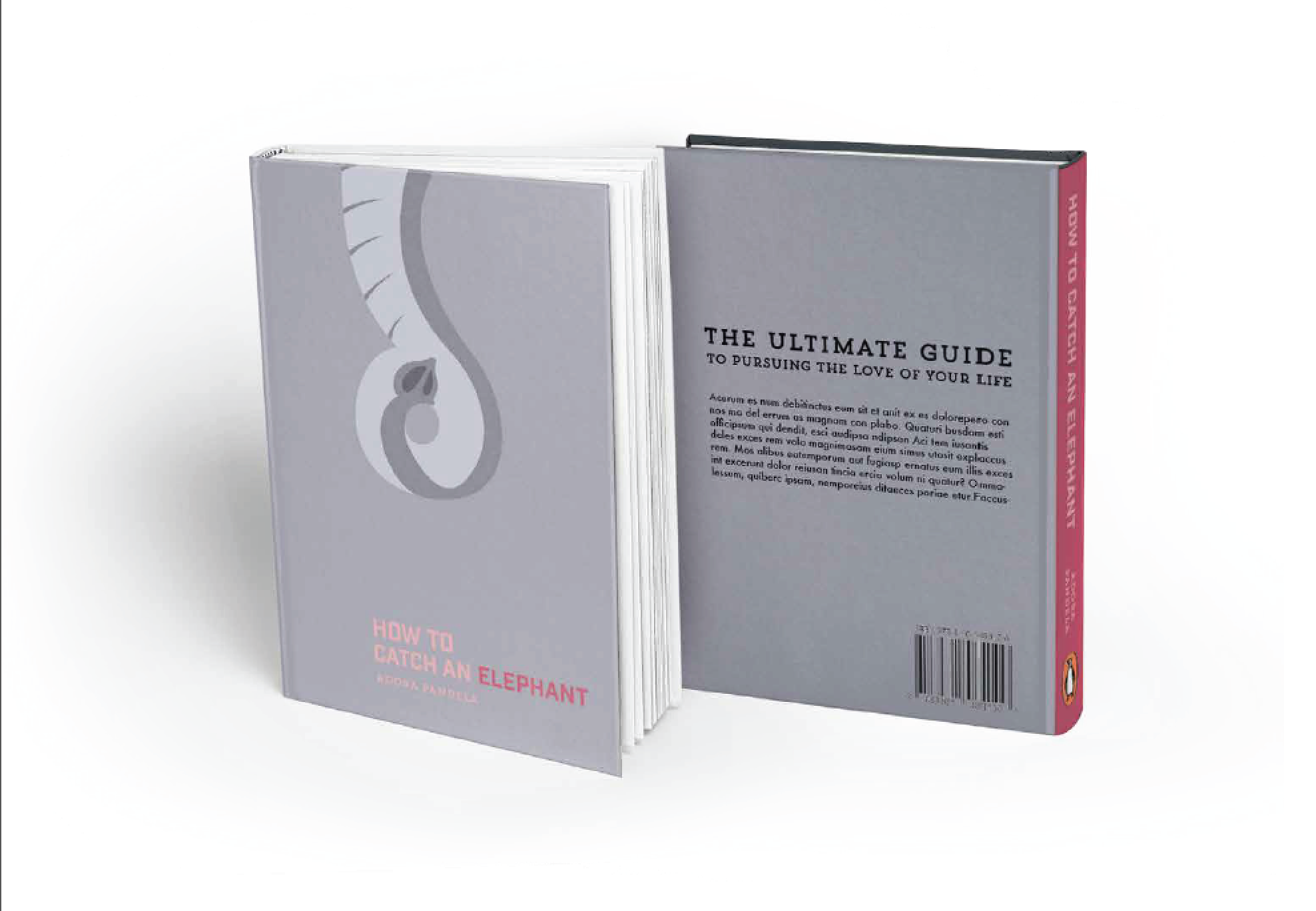 Book Series